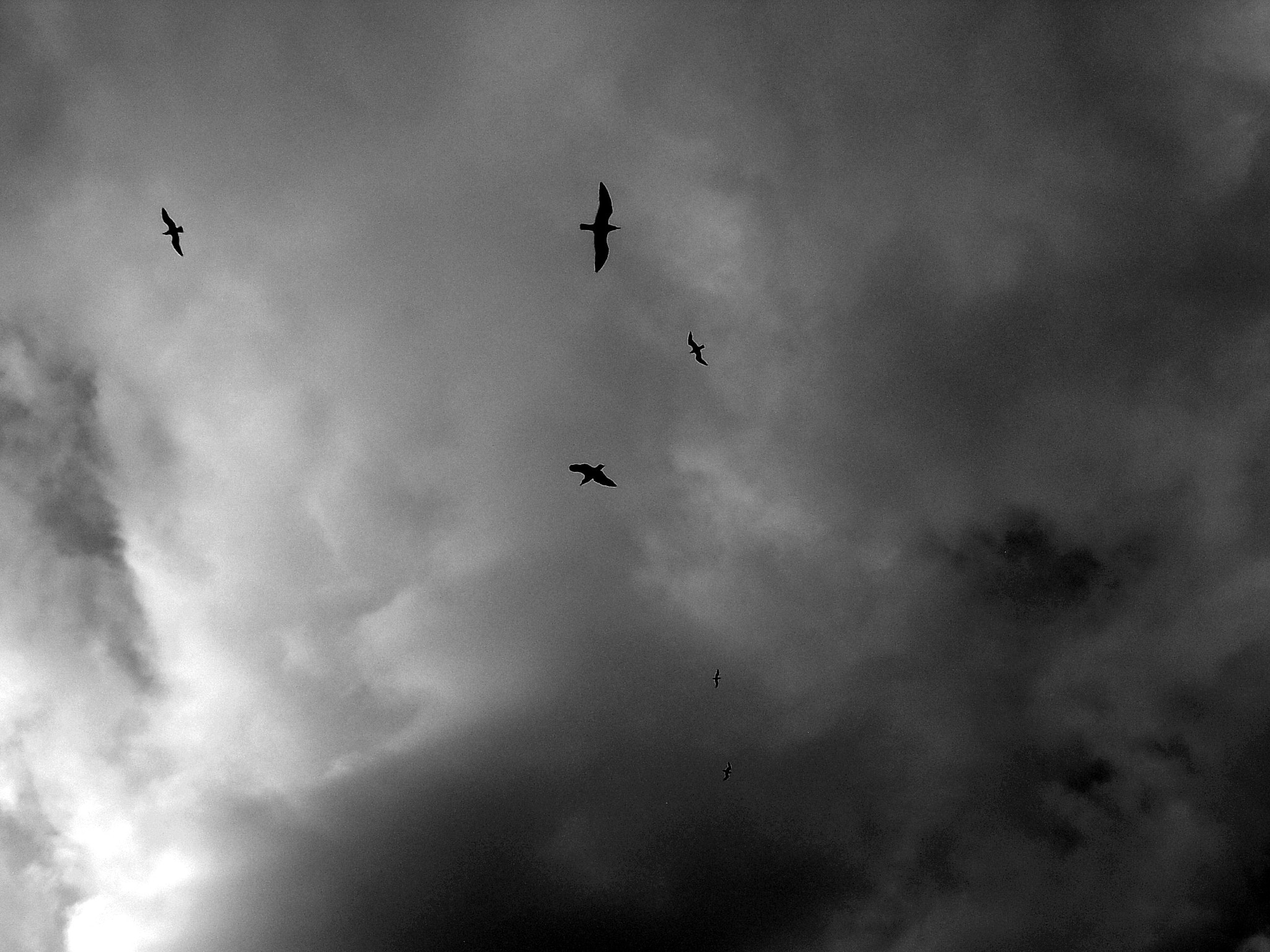 Nikon COOLPIX L5 sample photo. In circle photography