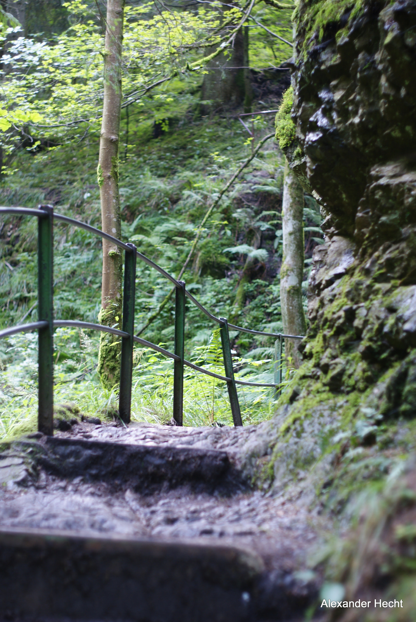 Sony Alpha DSLR-A300 + Minolta AF 50mm F1.7 New sample photo. Wanderweg photography