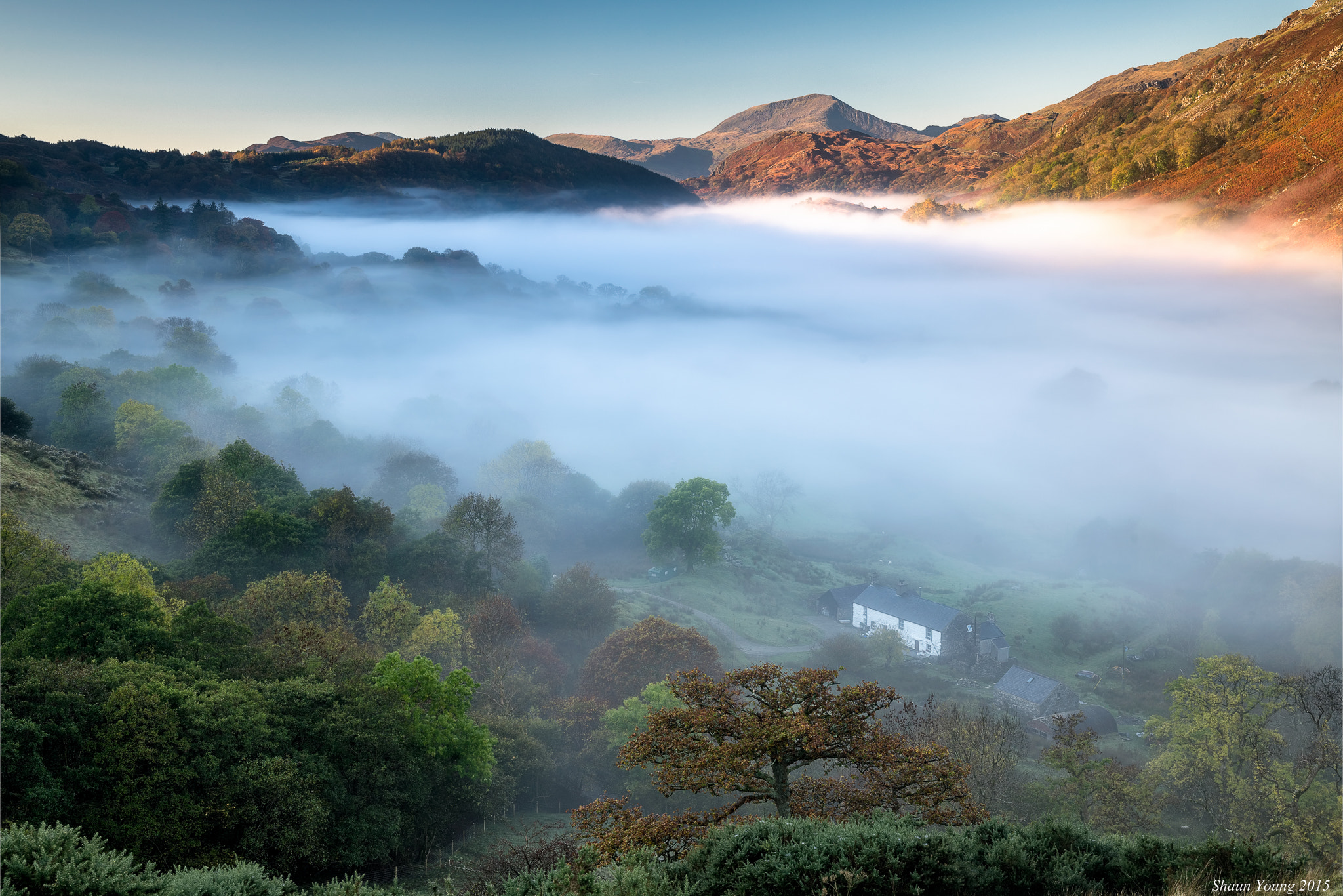 Sony a7R II + Canon EF 24-70mm F4L IS USM sample photo. The mist photography
