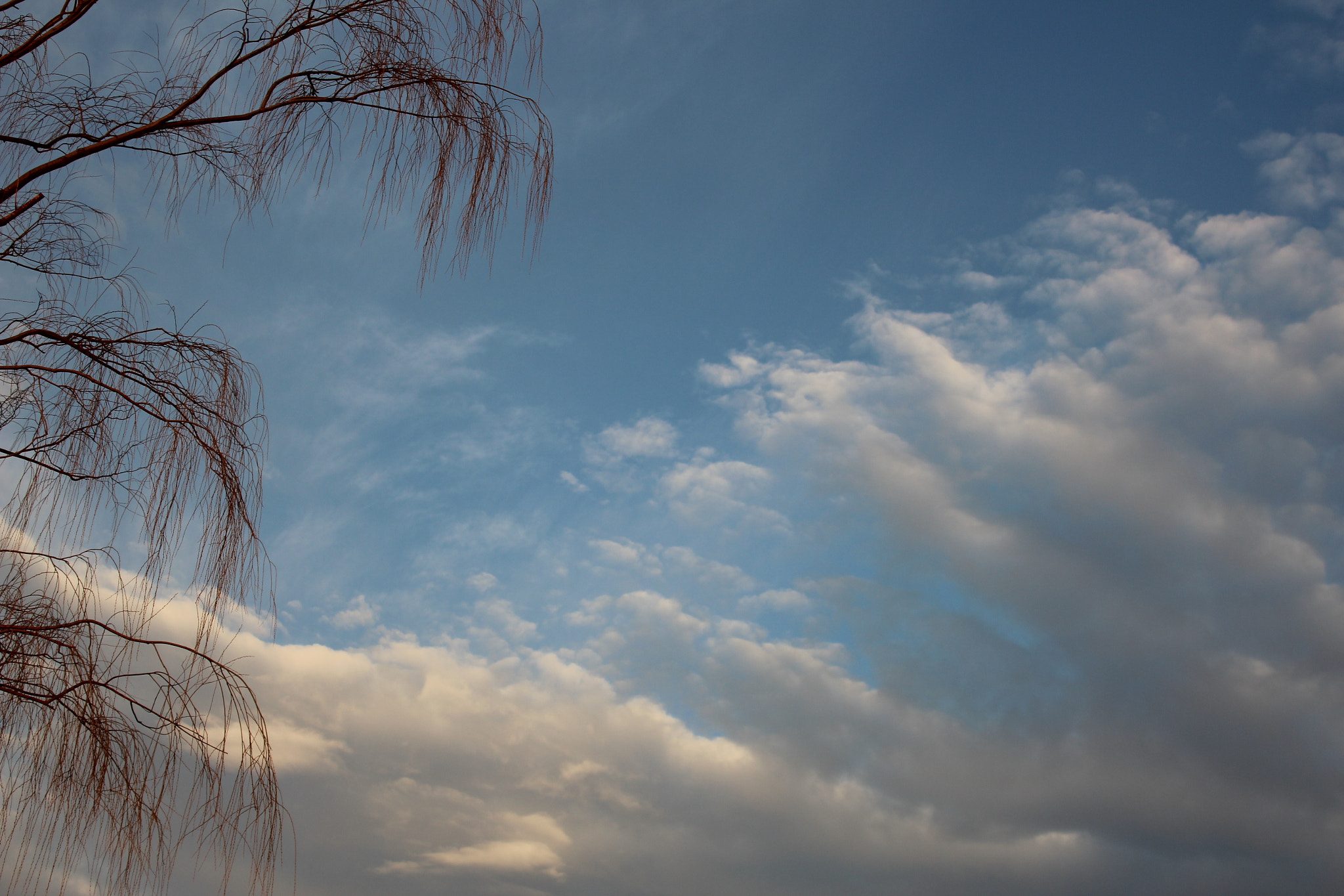 Canon EOS 600D (Rebel EOS T3i / EOS Kiss X5) + Tamron AF 28-200mm F3.8-5.6 XR Di Aspherical (IF) Macro sample photo. 朝の雲 2016.2.13 photography