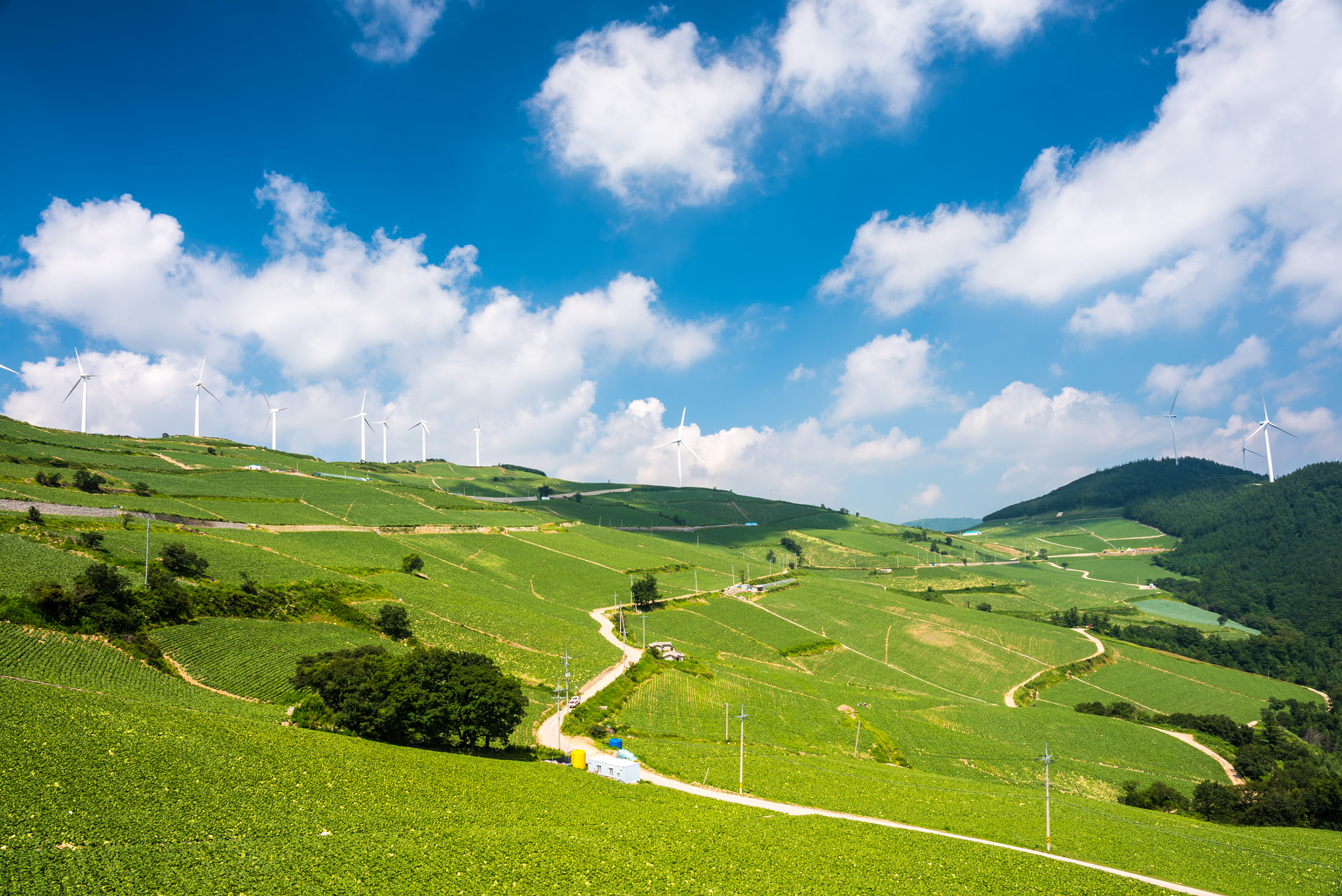 Samyang 12mm F2.8 ED AS NCS Fisheye sample photo. The hill of wind photography
