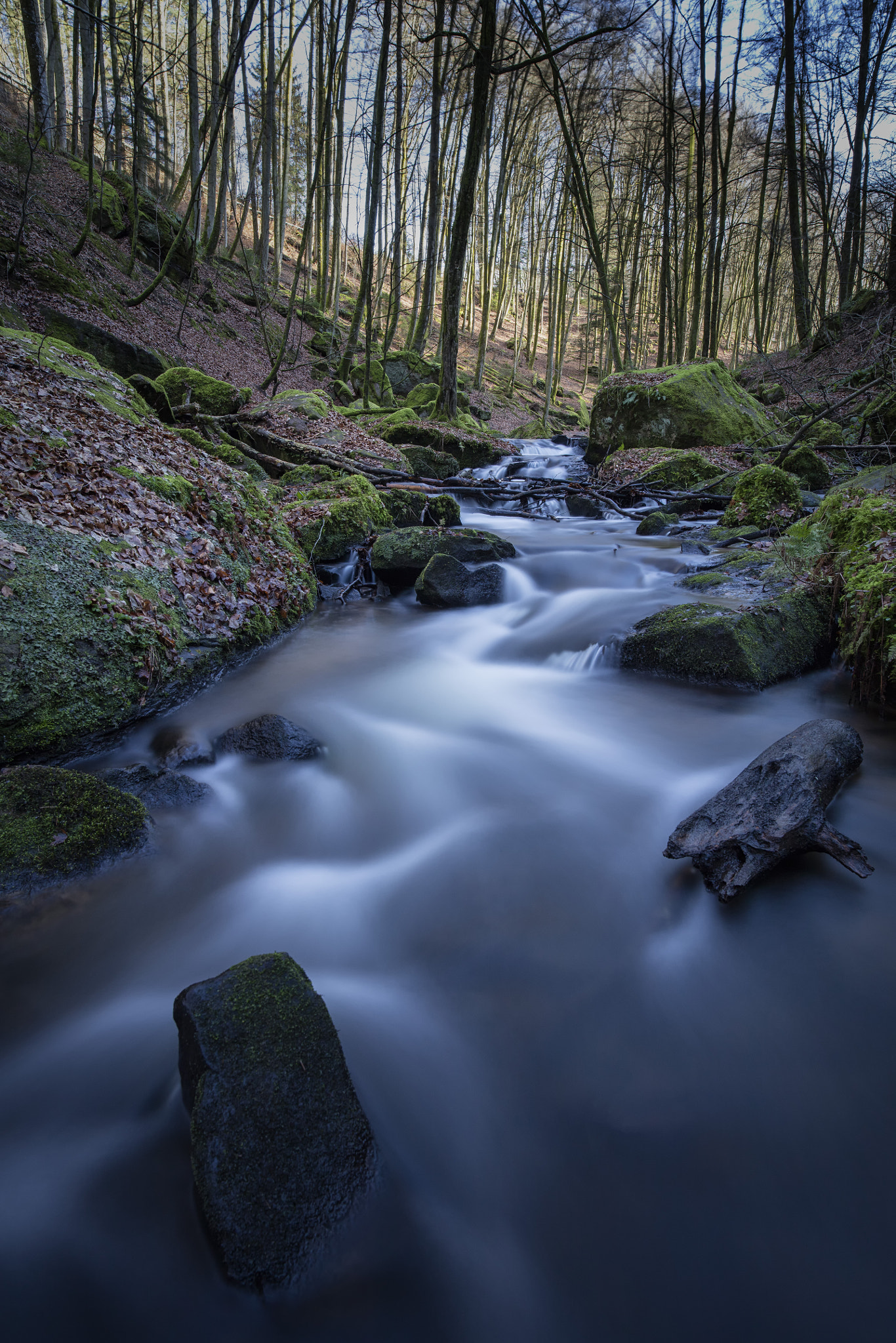 ZEISS Milvus 21mm F2.8 sample photo. Karlstalschlucht photography