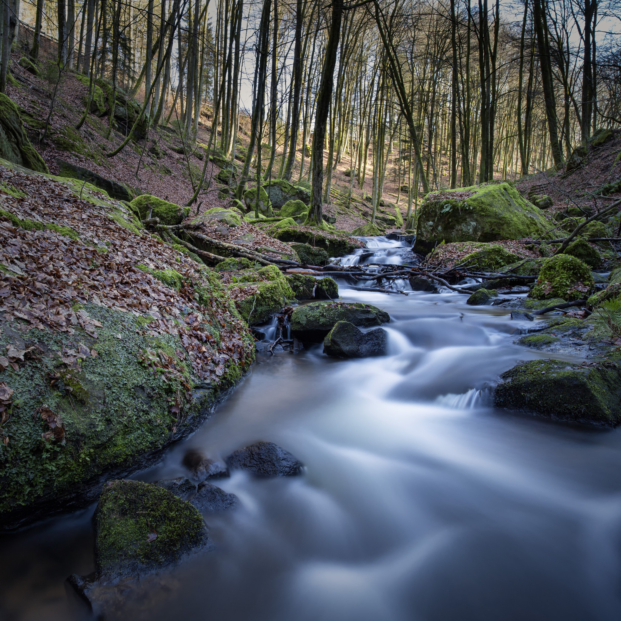 Canon EOS 5DS R + ZEISS Milvus 21mm F2.8 sample photo. Karlstalschlucht photography