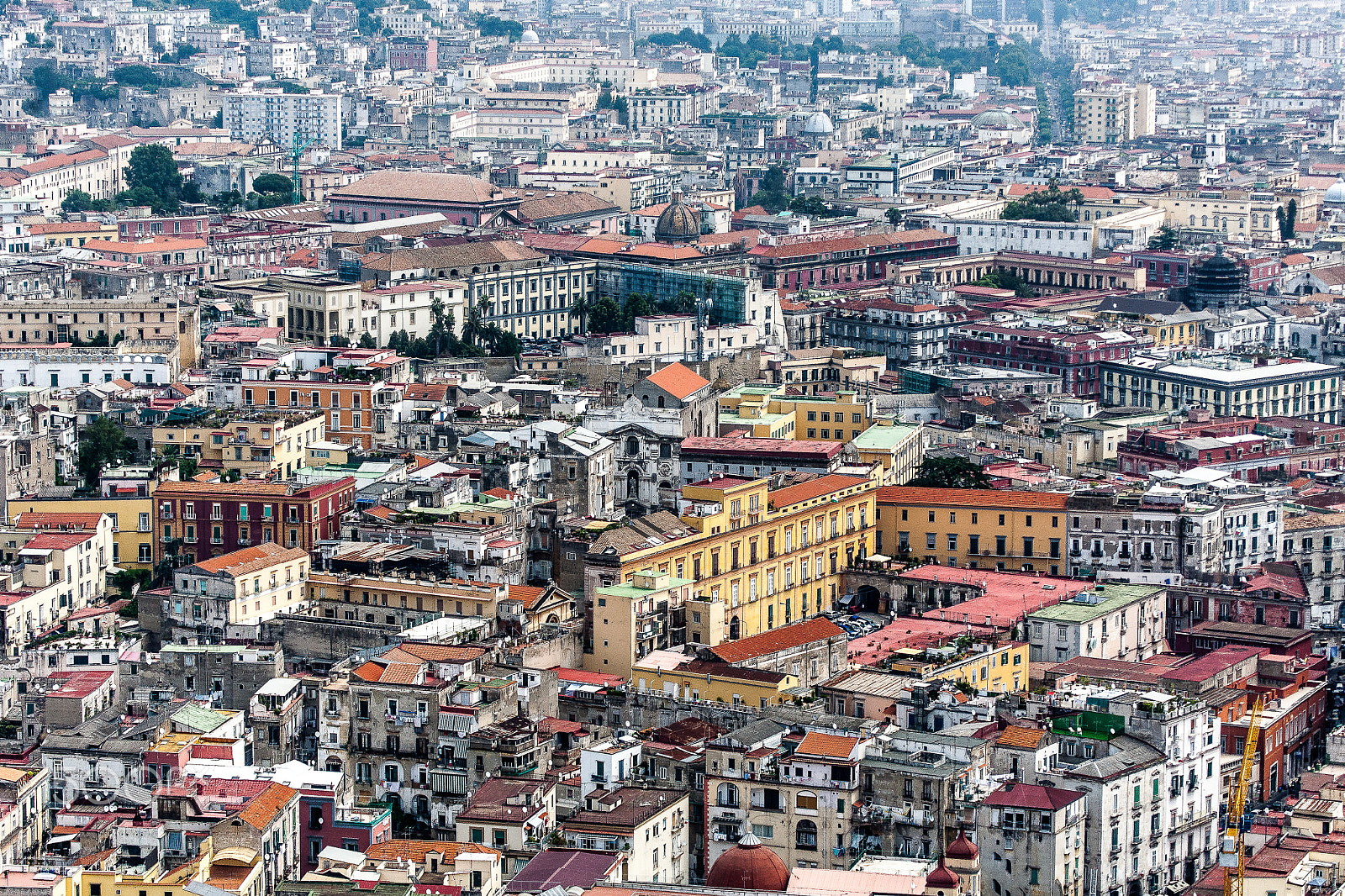 Canon EF 100-400mm F4.5-5.6L IS USM sample photo. Naples photography
