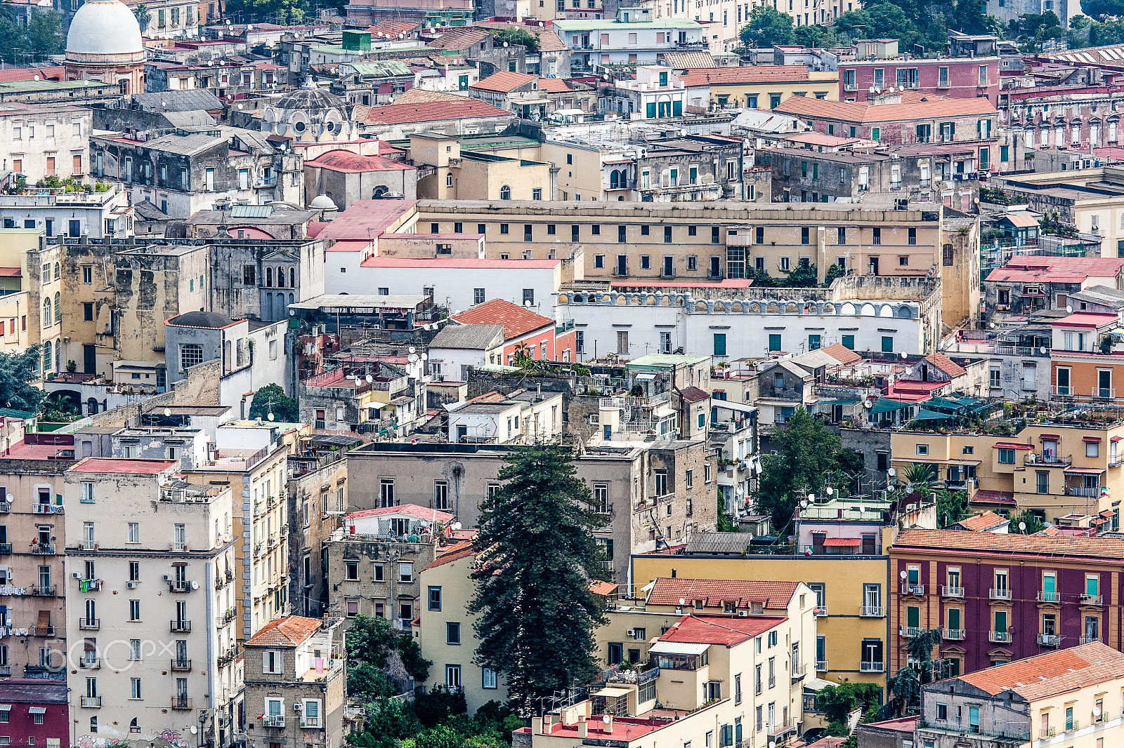 Canon EF 100-400mm F4.5-5.6L IS USM sample photo. Naples photography