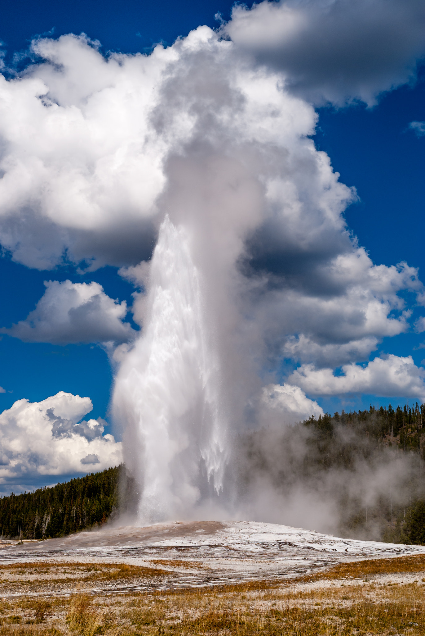 Sony Alpha DSLR-A200 + Sigma 18-200mm F3.5-6.3 DC sample photo. Old faithful photography