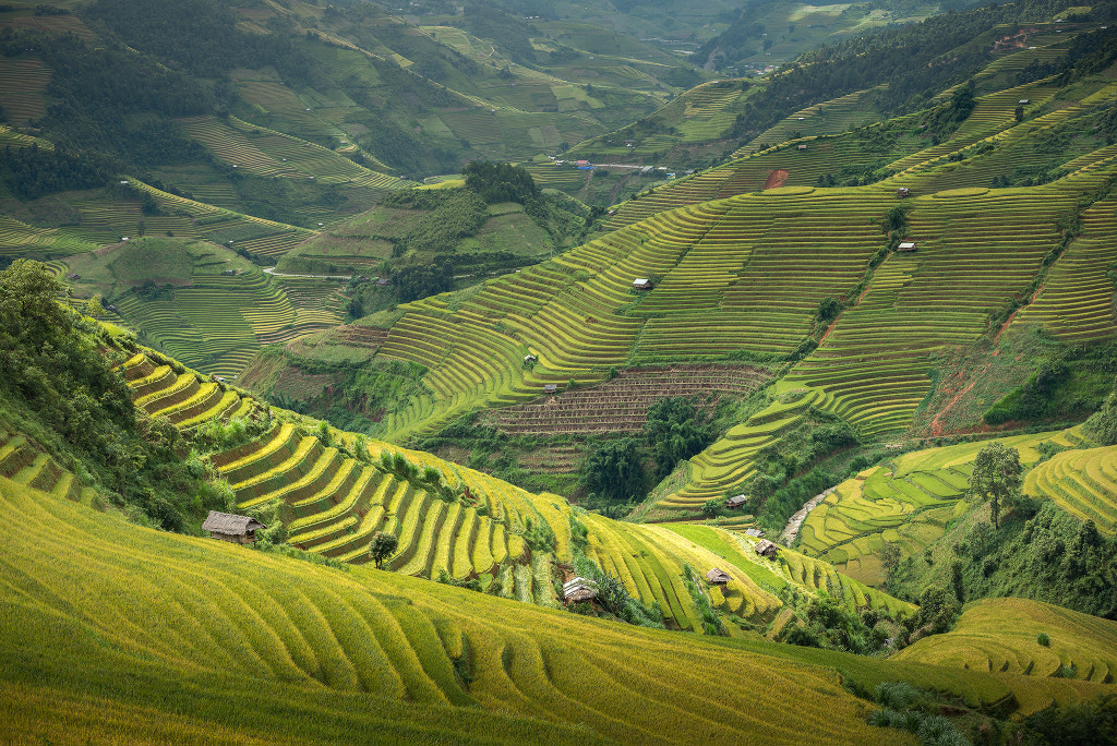 Top view (Mu cang chai) by Sarawut Intarob / 500px