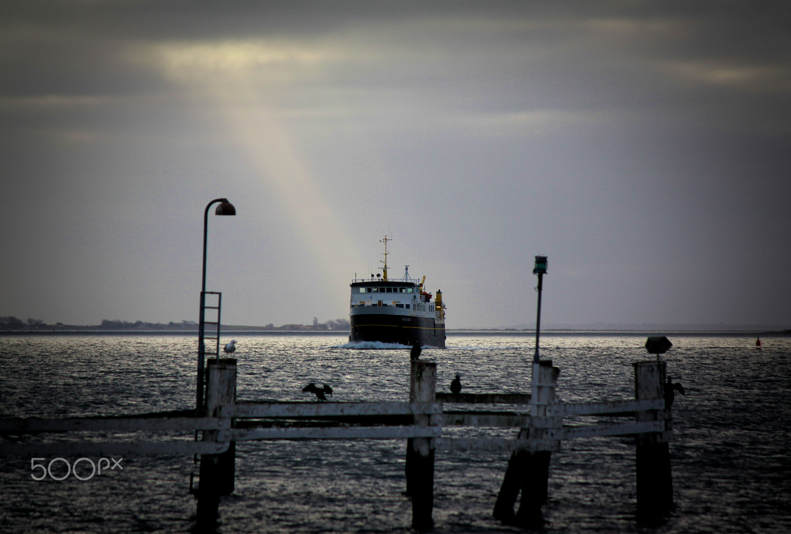 Canon EF-S 55-250mm F4-5.6 IS II sample photo. Comminghome photography