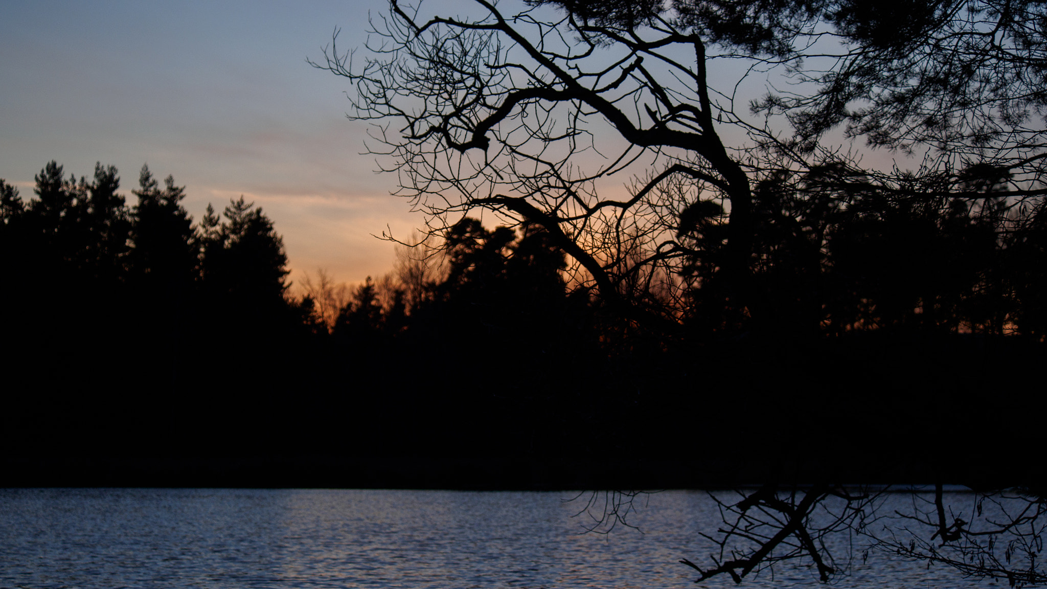 LUMIX G VARIO 45-150/F4.0-5.6 sample photo. Natur photography