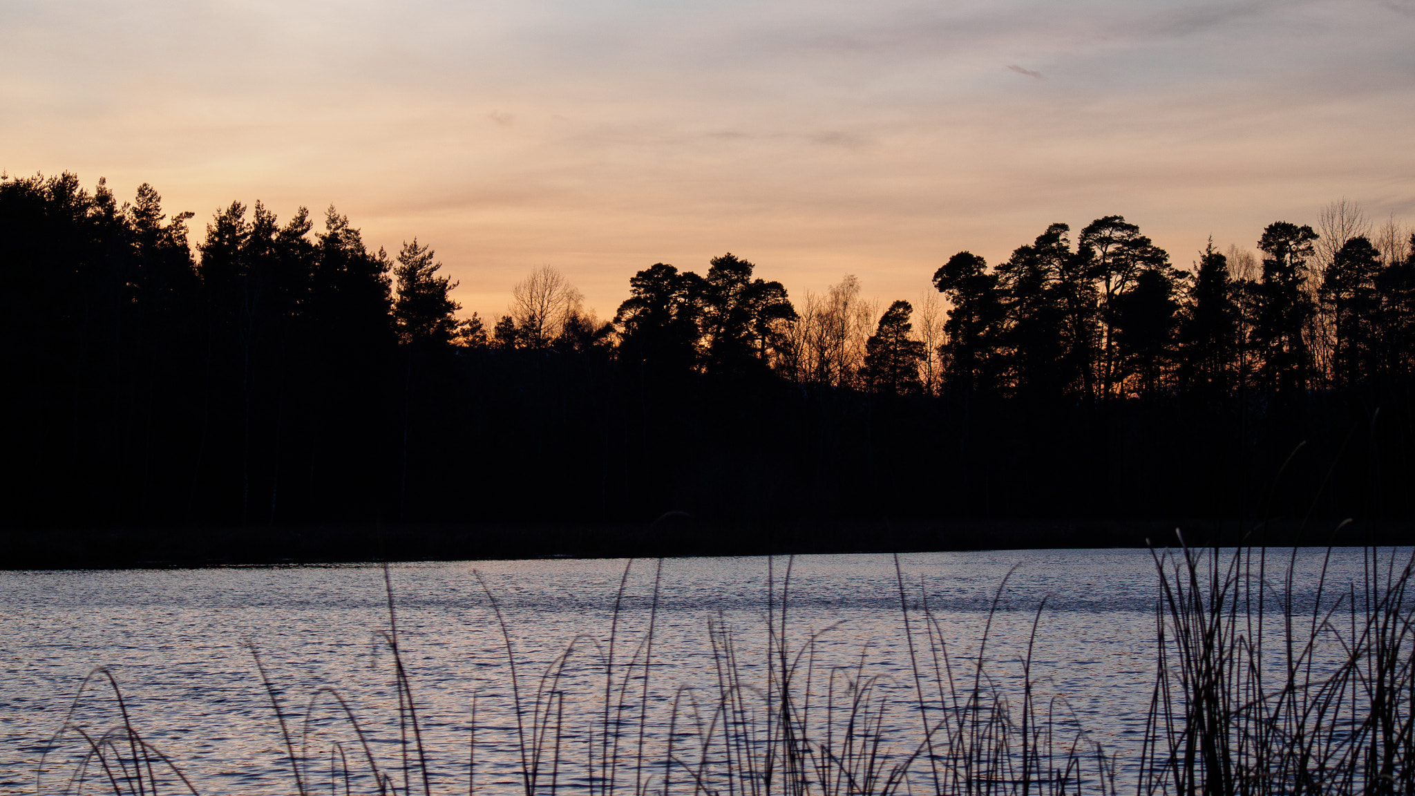 LUMIX G VARIO 45-150/F4.0-5.6 sample photo. See am abend photography