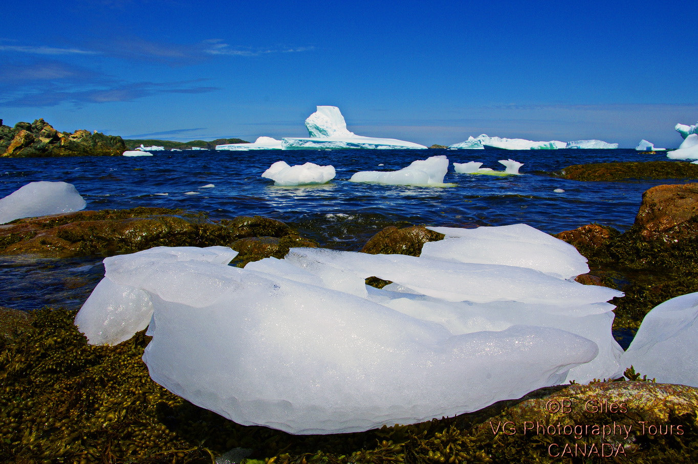 Pentax K20D sample photo. Iceberg alley photography