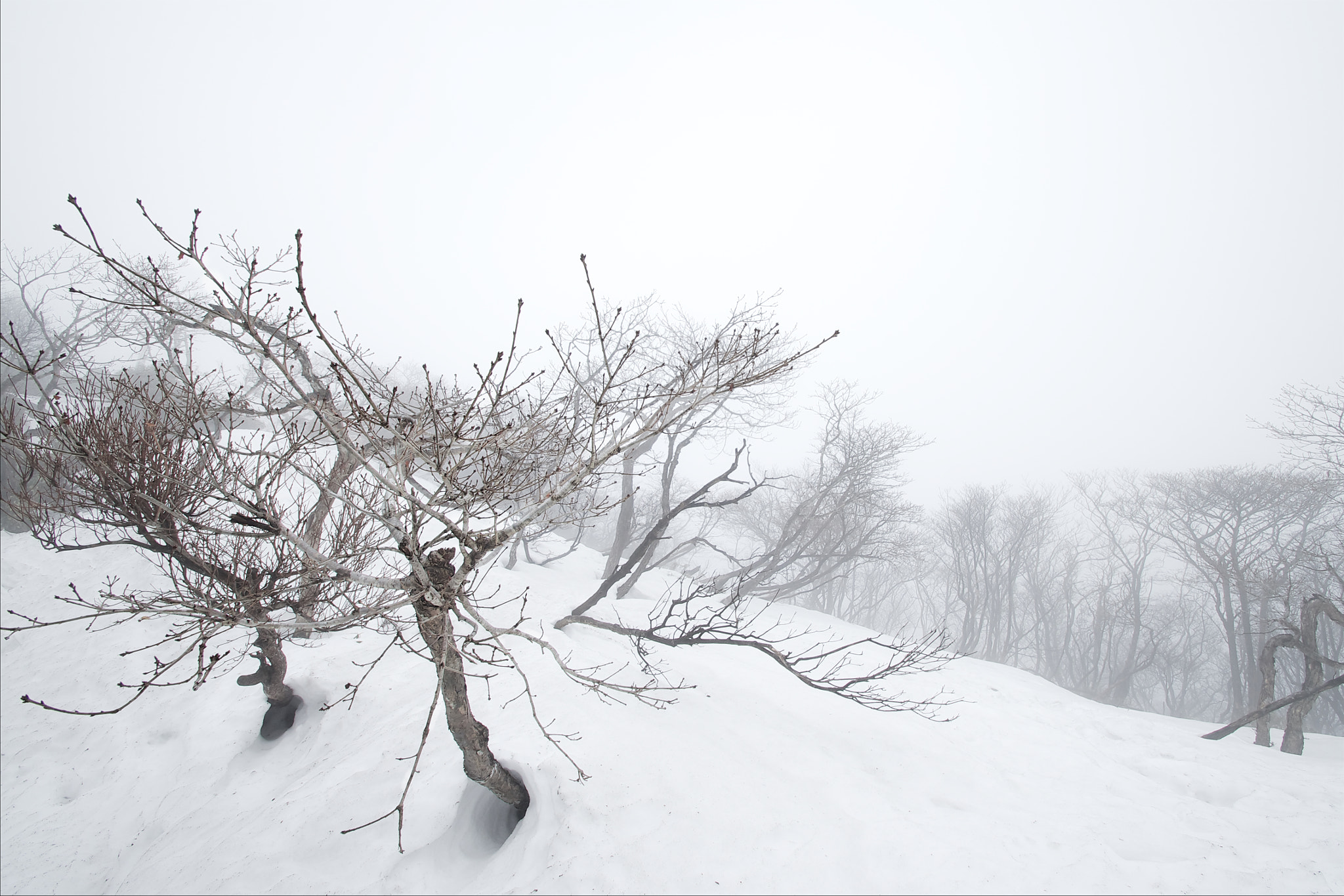 Pentax K-5 II sample photo. 160213-1 photography