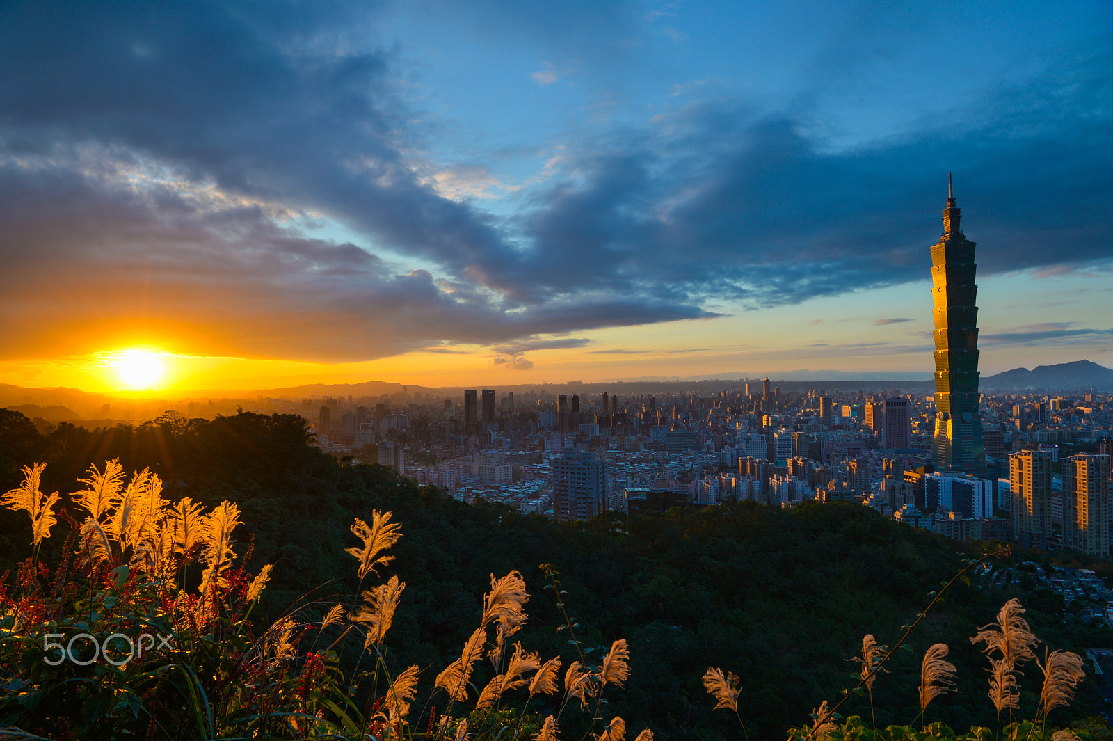 Nikon AF-S Nikkor 24-70mm F2.8E ED VR sample photo. Sunset shine on miscanthus photography