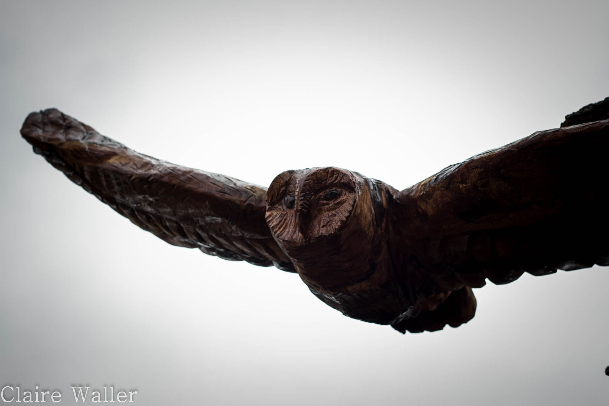 Canon EOS 7D + Canon EF 50mm f/1.8 sample photo. Owl carving photography