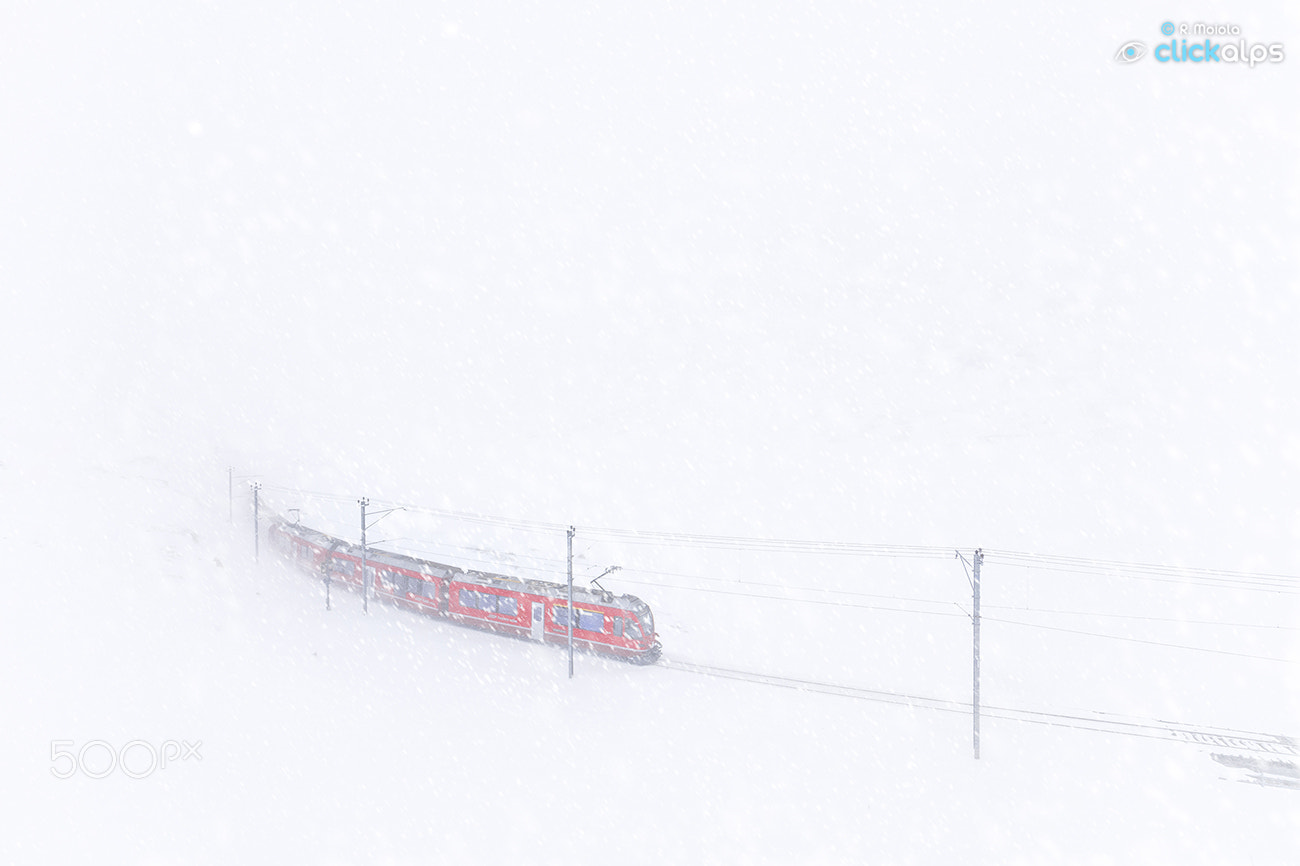 Canon EOS 5DS sample photo. Red blizzard photography