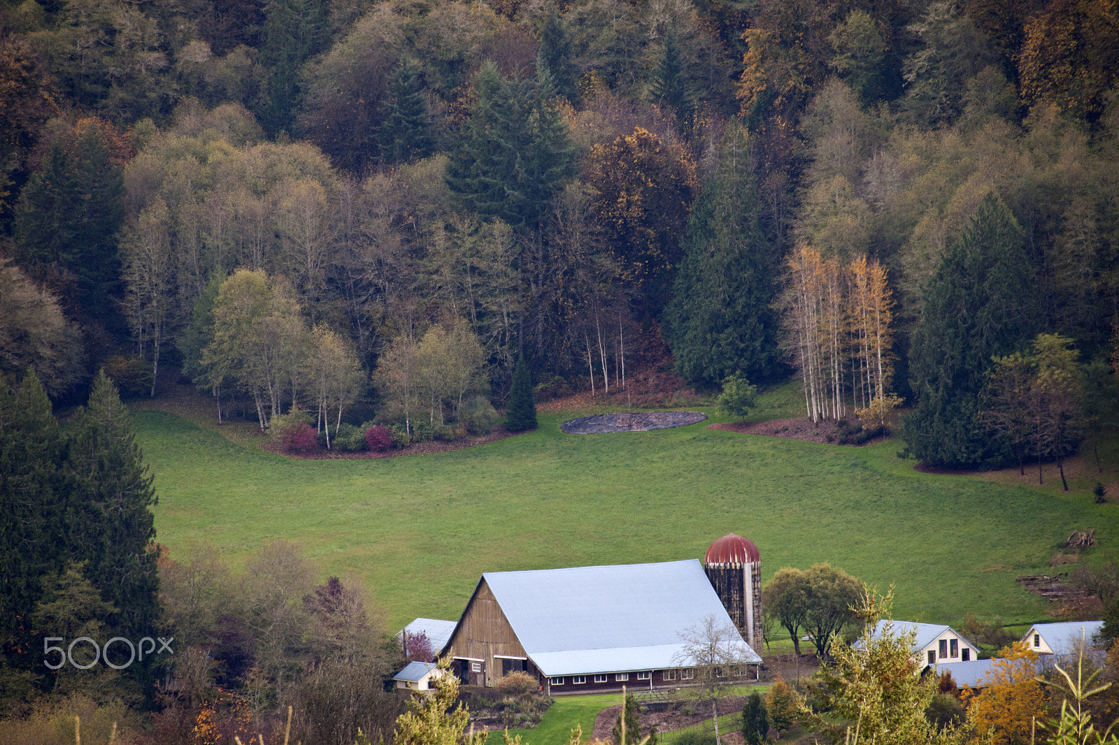 Olympus PEN E-P1 sample photo. Wild thyme retreat photography