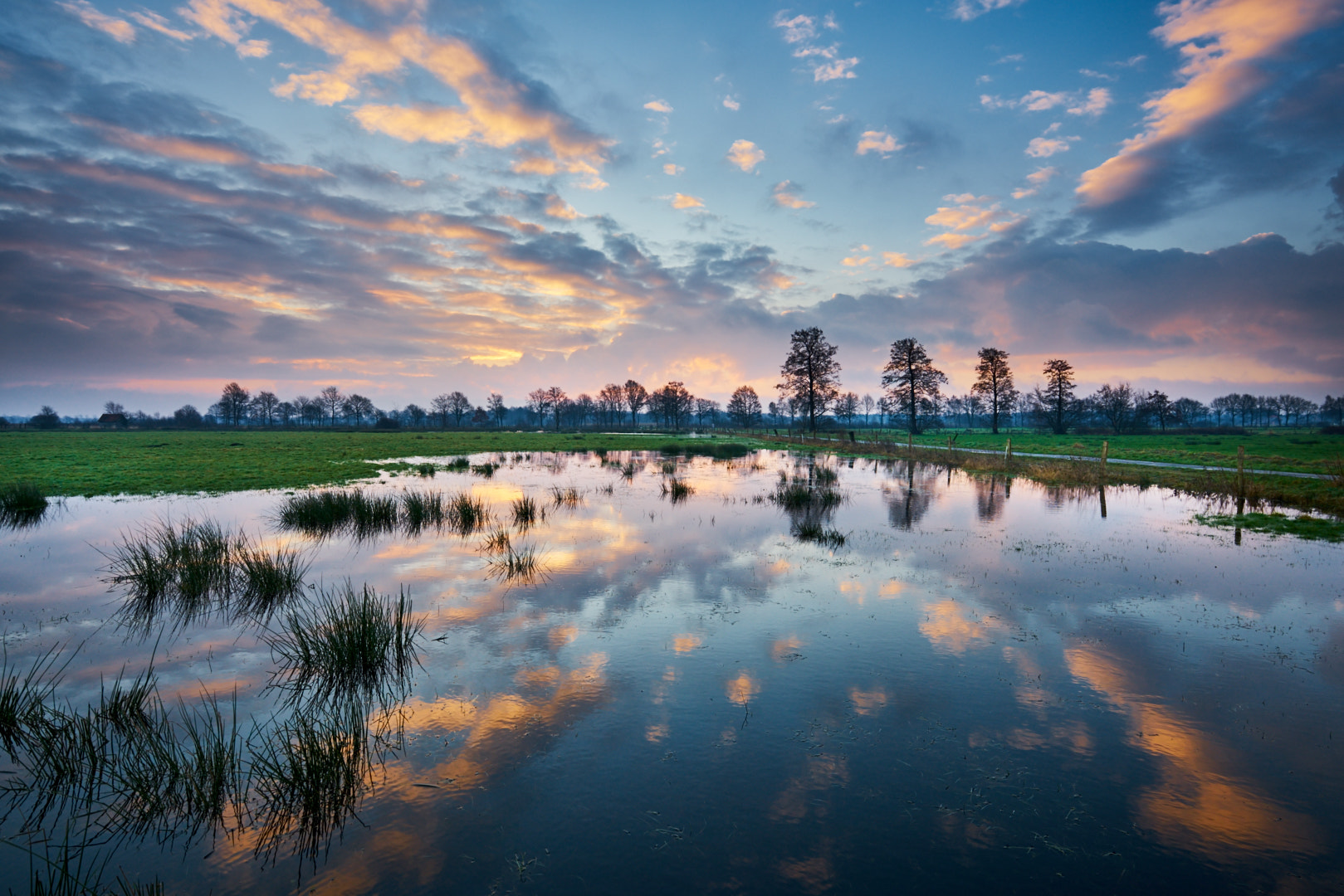 16-35mm F4 G SSM OSS sample photo. Morning colors photography