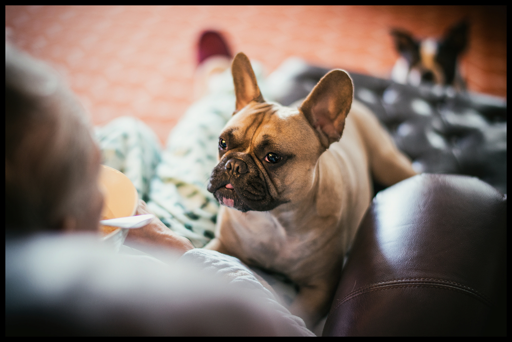 Nikon D610 + Nikon AF-S Nikkor 58mm F1.4G sample photo. Saturday morning breakfast with grandma photography