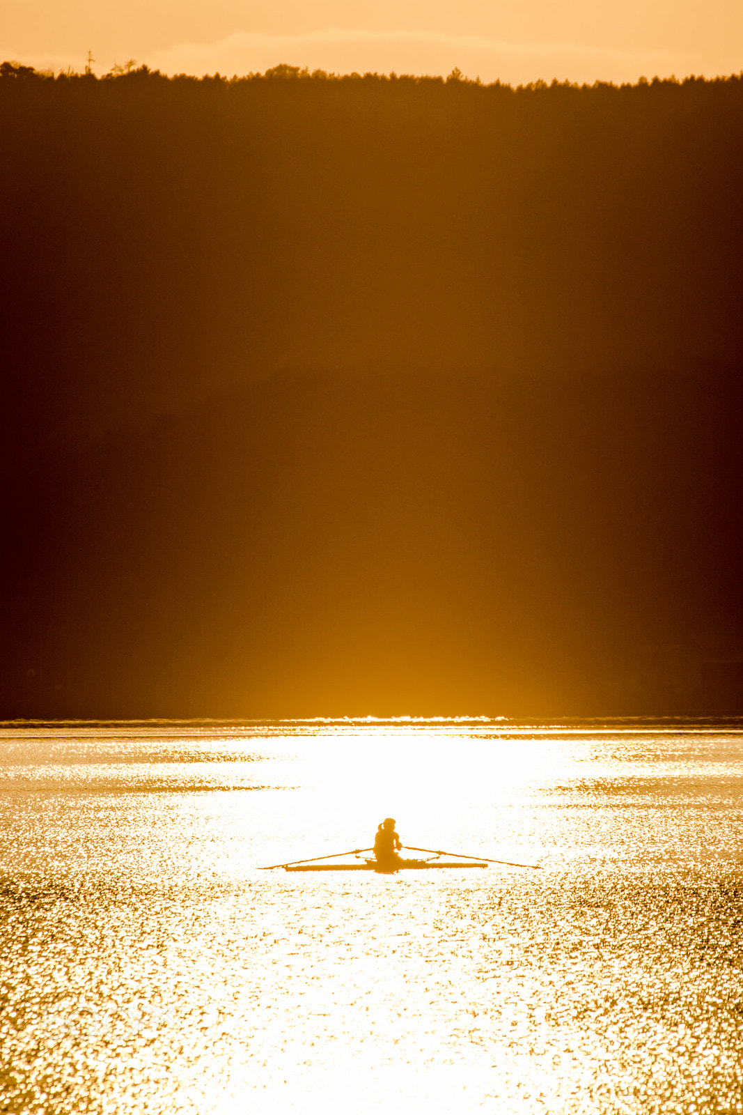 Sigma 150-500mm F5-6.3 DG OS HSM sample photo. In the sunset photography