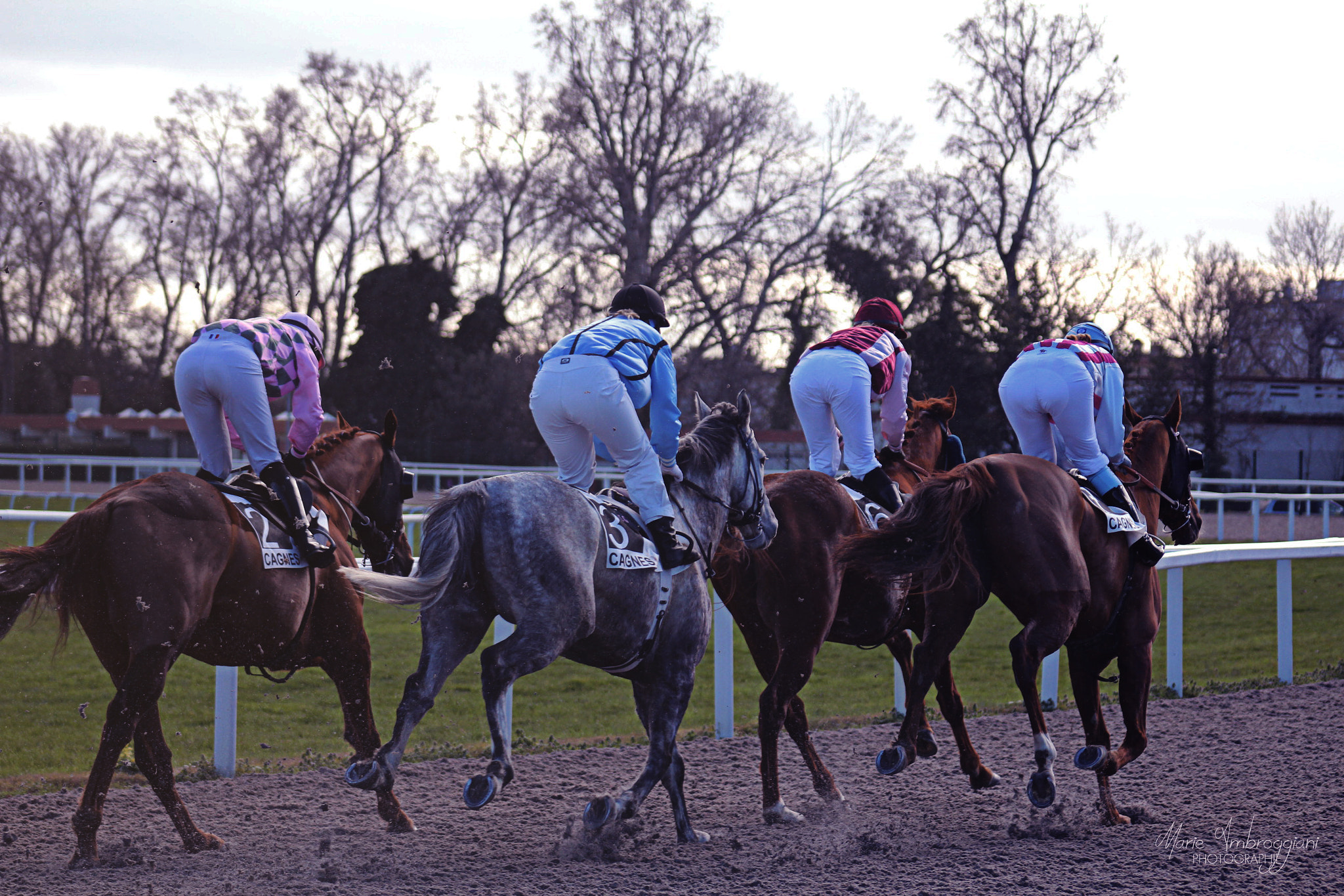 Canon EOS 600D (Rebel EOS T3i / EOS Kiss X5) + Canon EF 100-300mm F4.5-5.6 USM sample photo. Horse racing photography