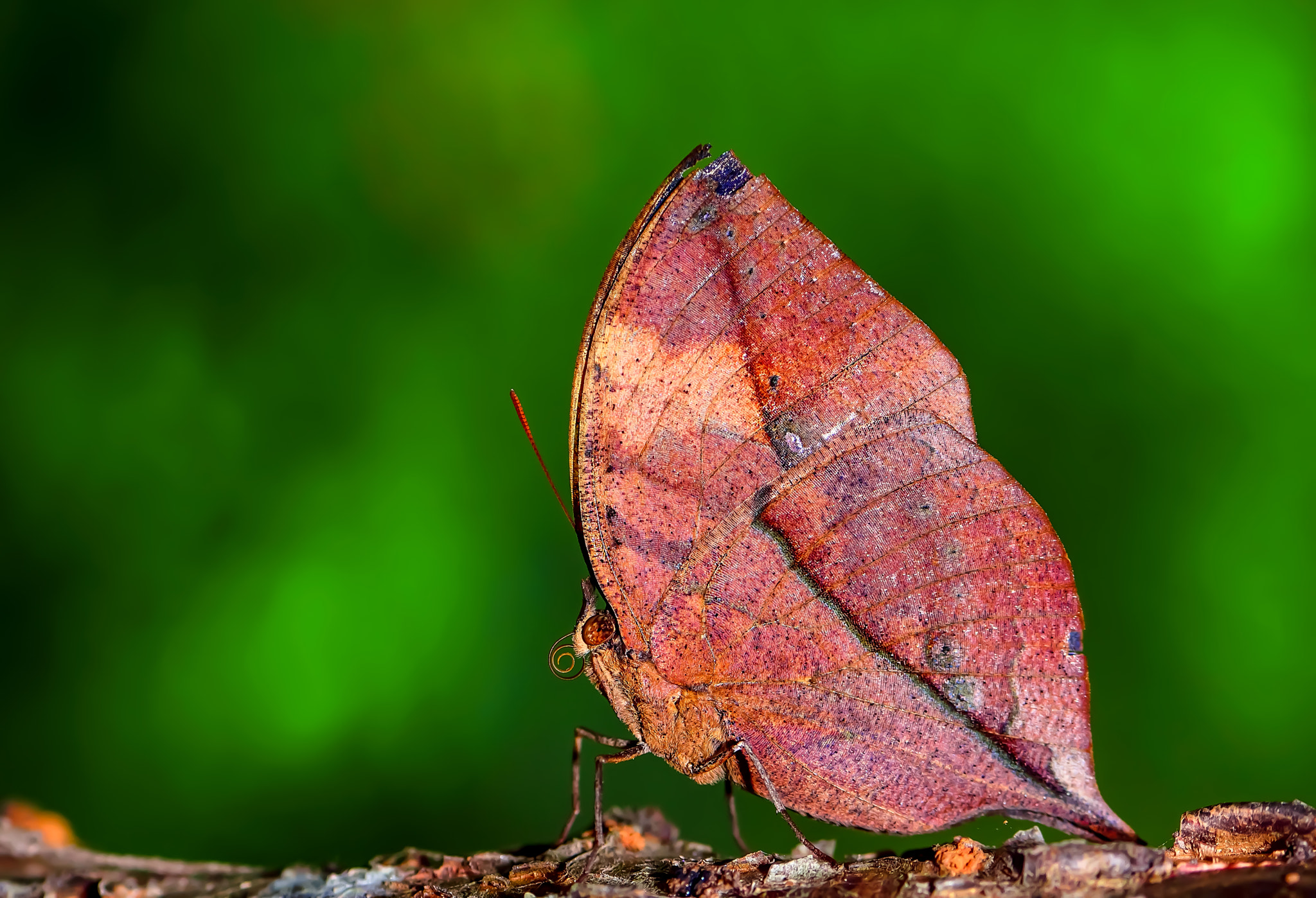 Sigma 18-200mm F3.5-6.3 DC OS HSM sample photo. Cliff ting photography