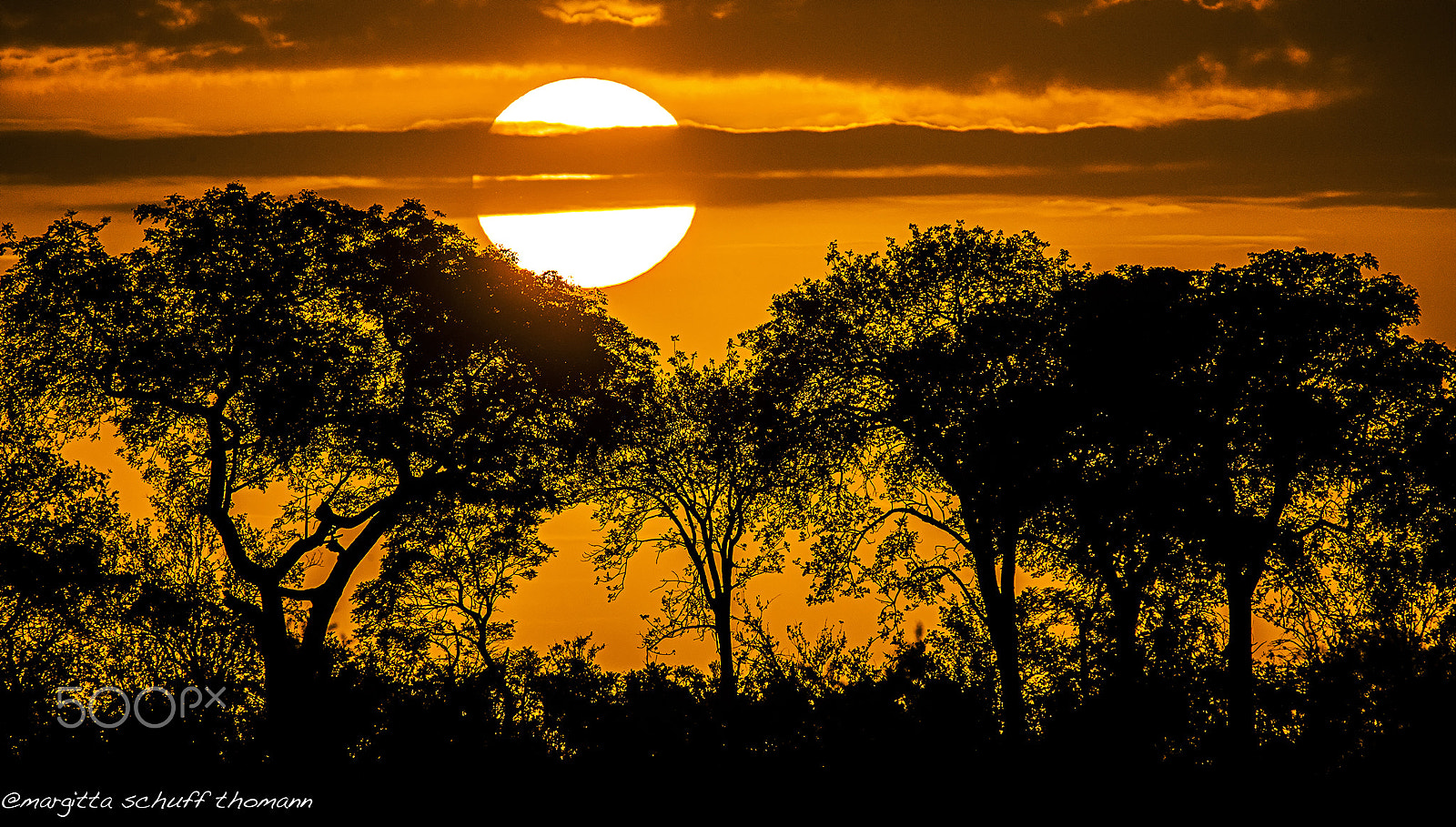 Tamron SP 150-600mm F5-6.3 Di VC USD sample photo. Sunrising.. photography