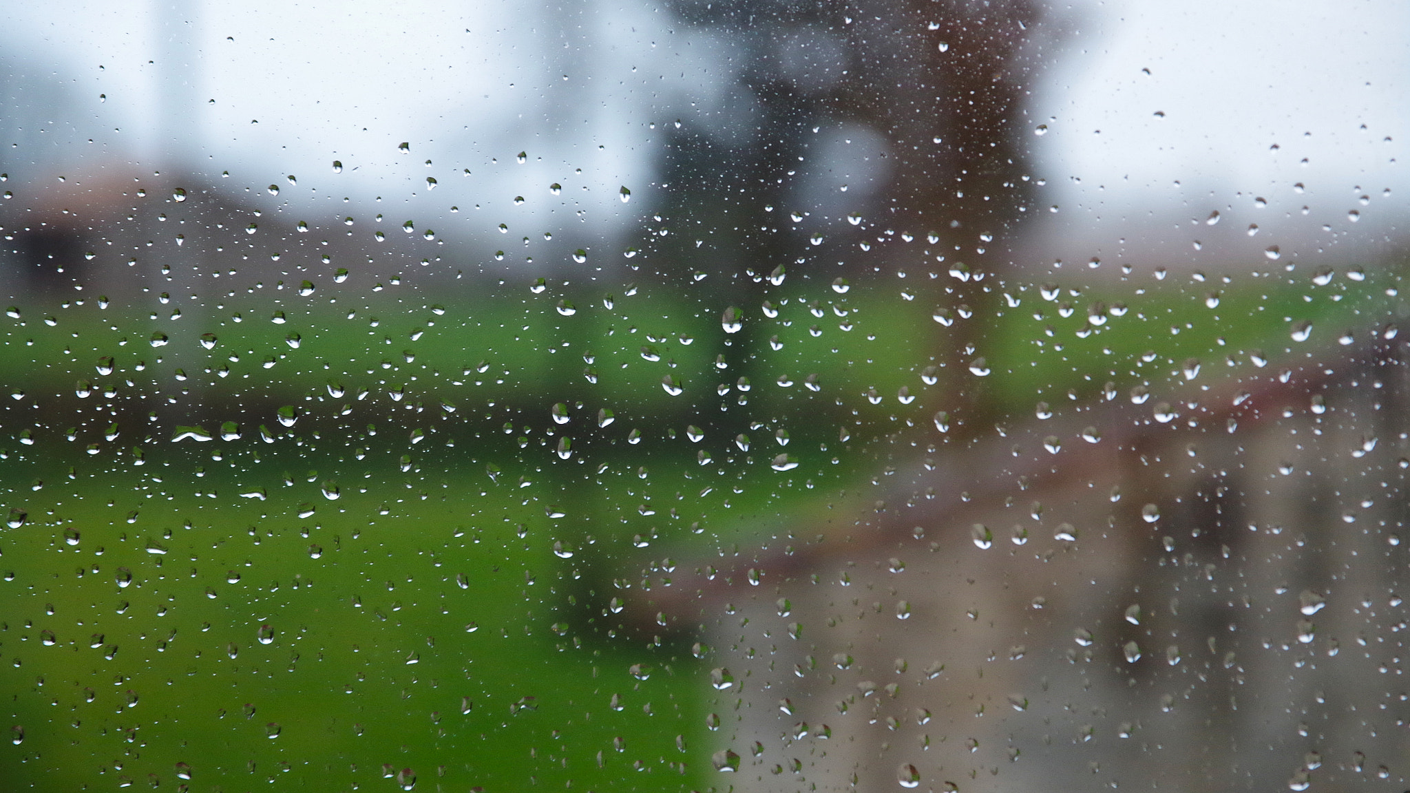 Sigma 17-70mm F2.8-4 DC Macro HSM Contemporary sample photo. Drops photography
