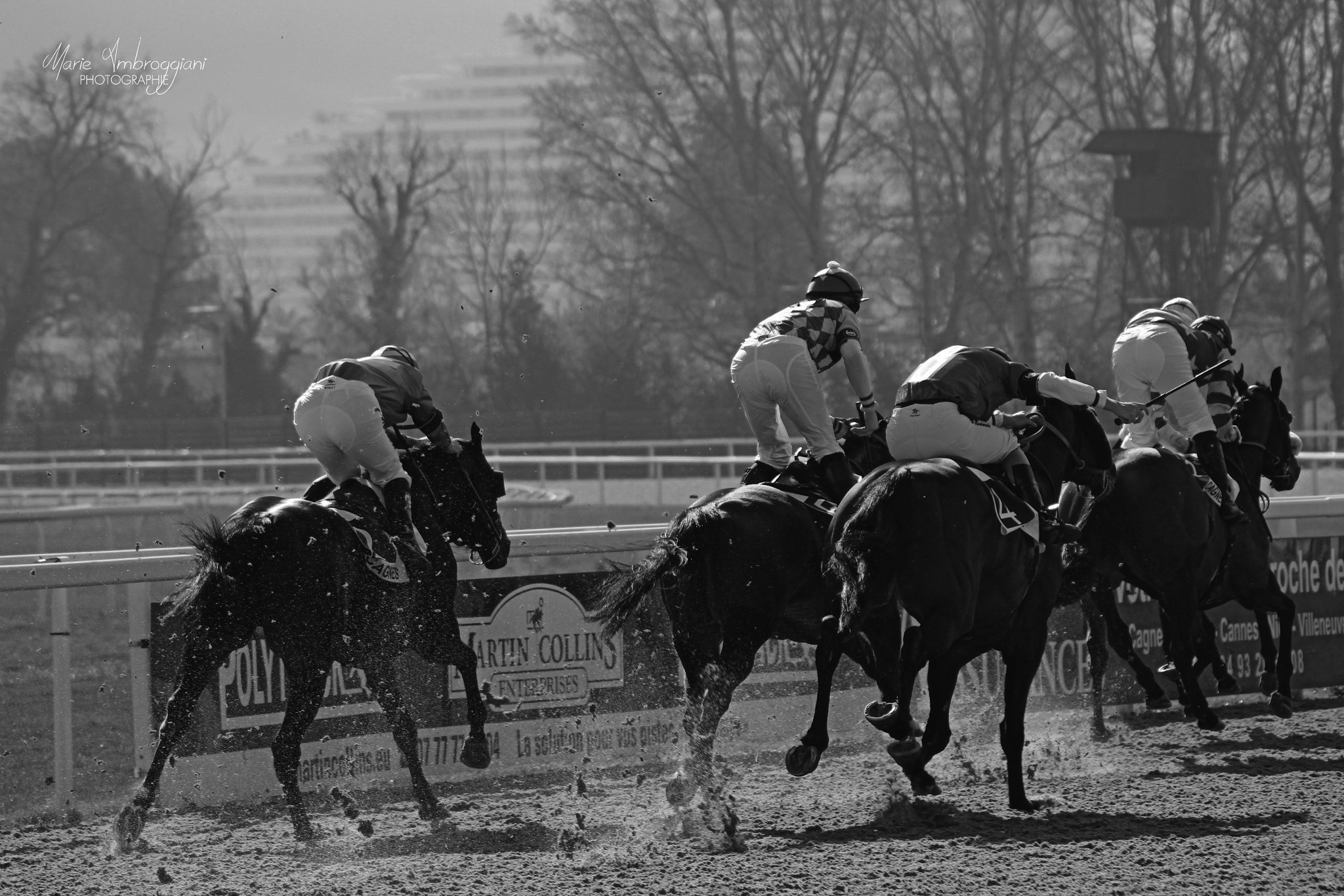 Canon EF 100-300mm F4.5-5.6 USM sample photo. Horse race photography