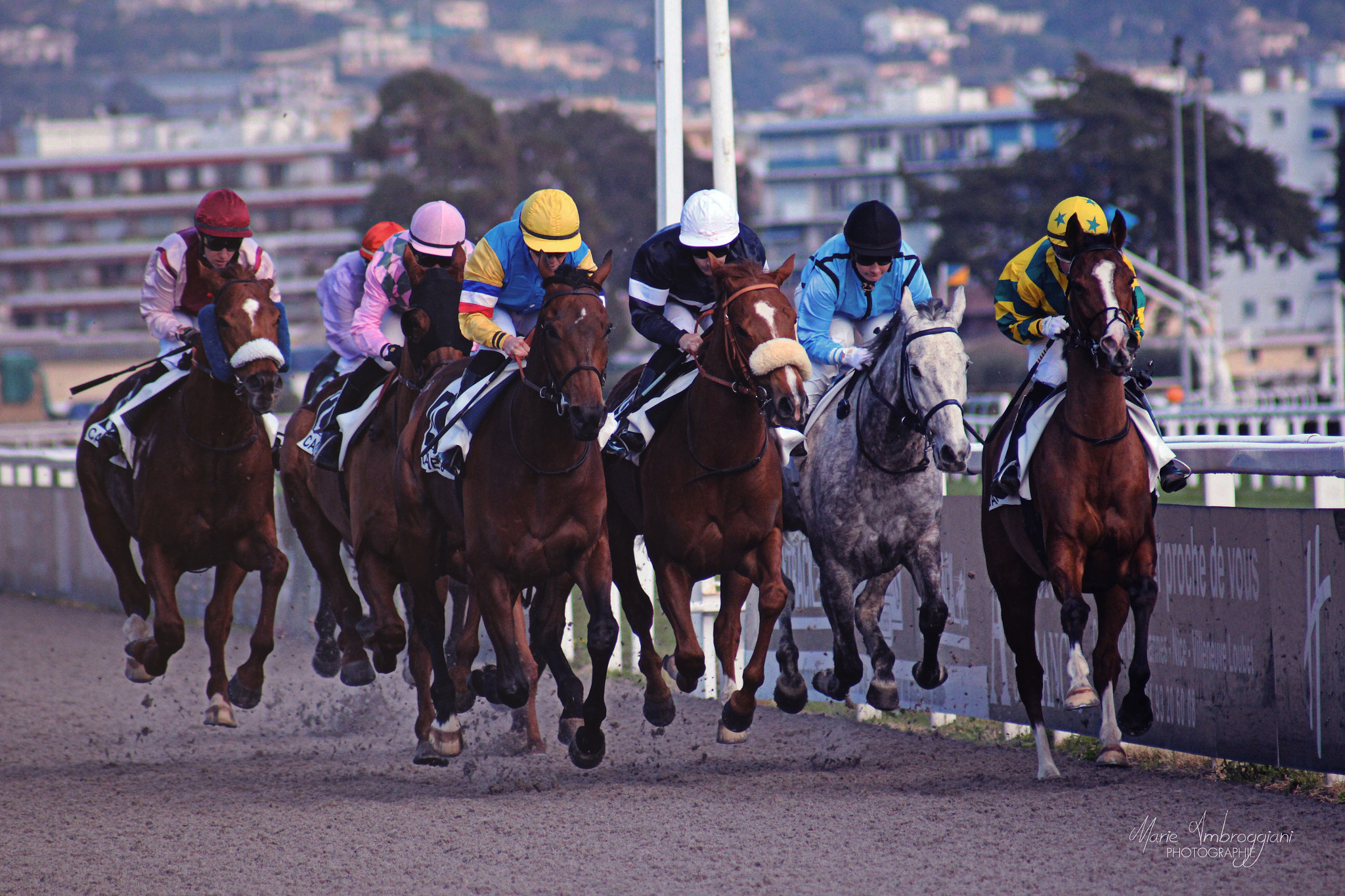Canon EF 100-300mm F4.5-5.6 USM sample photo. Horse racing photography