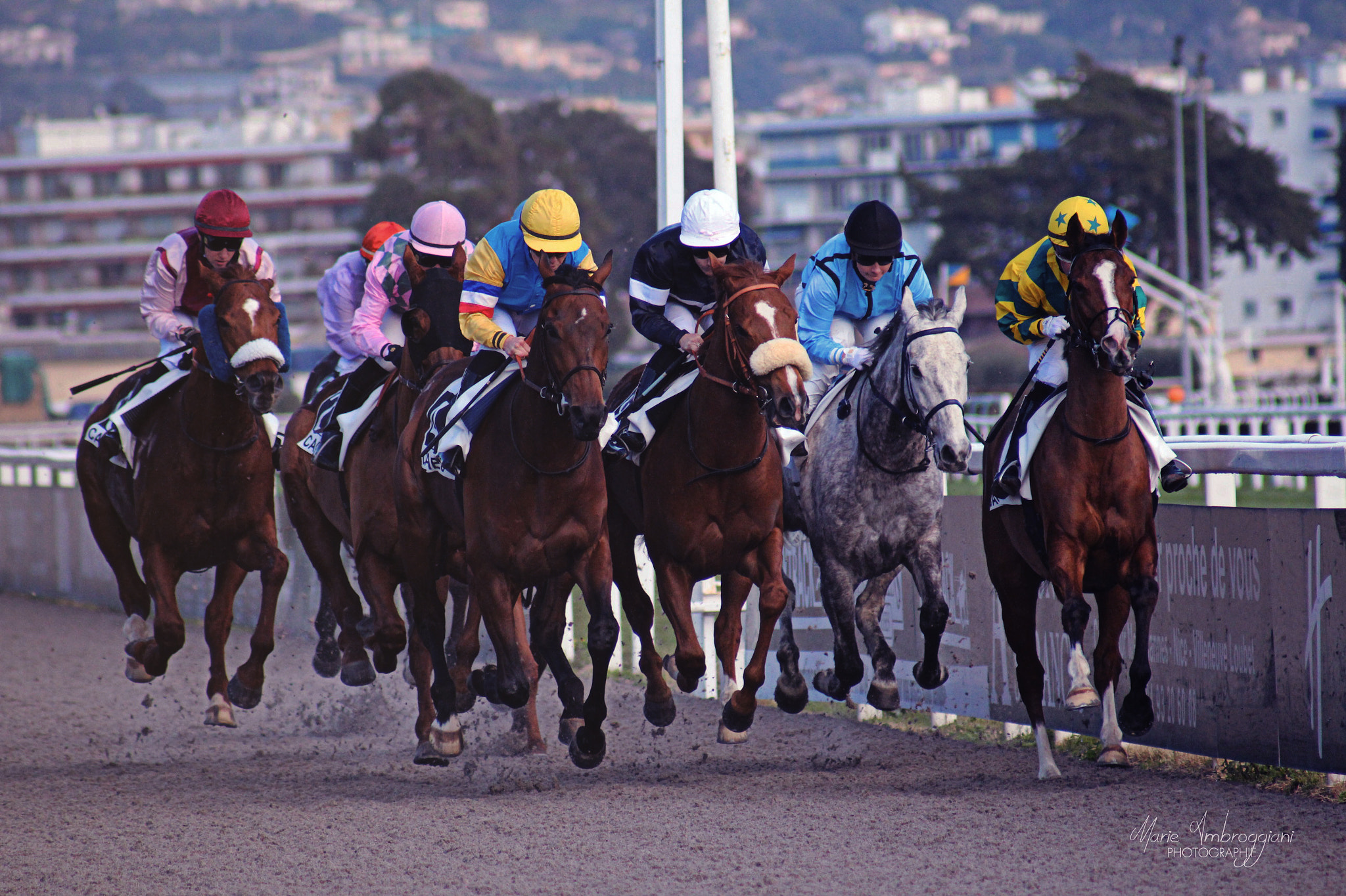 Canon EOS 600D (Rebel EOS T3i / EOS Kiss X5) + Canon EF 100-300mm F4.5-5.6 USM sample photo. Horse racing photography