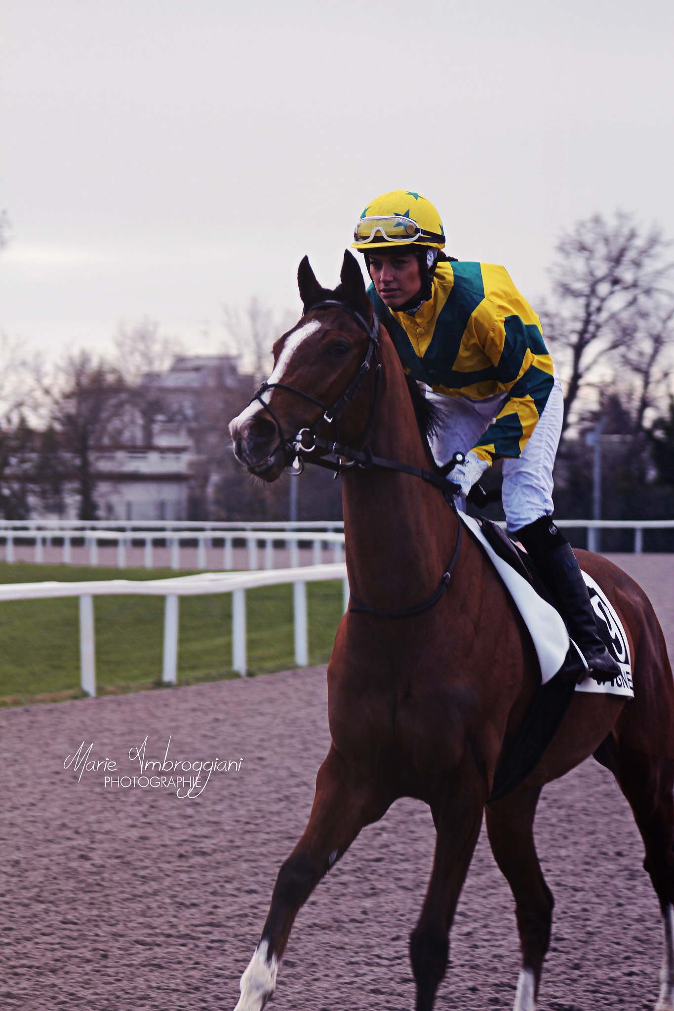 Canon EF 100-300mm F4.5-5.6 USM sample photo. Determination photography