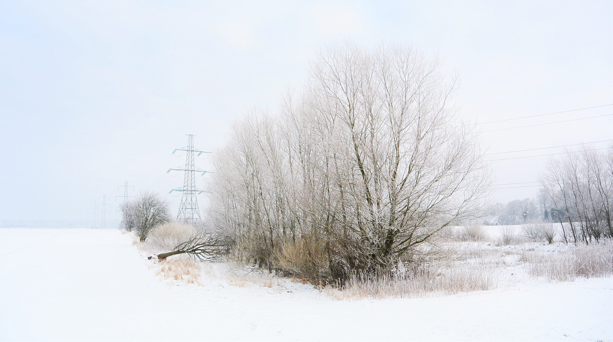 Nikon 1 S1 sample photo. Power pylons... photography