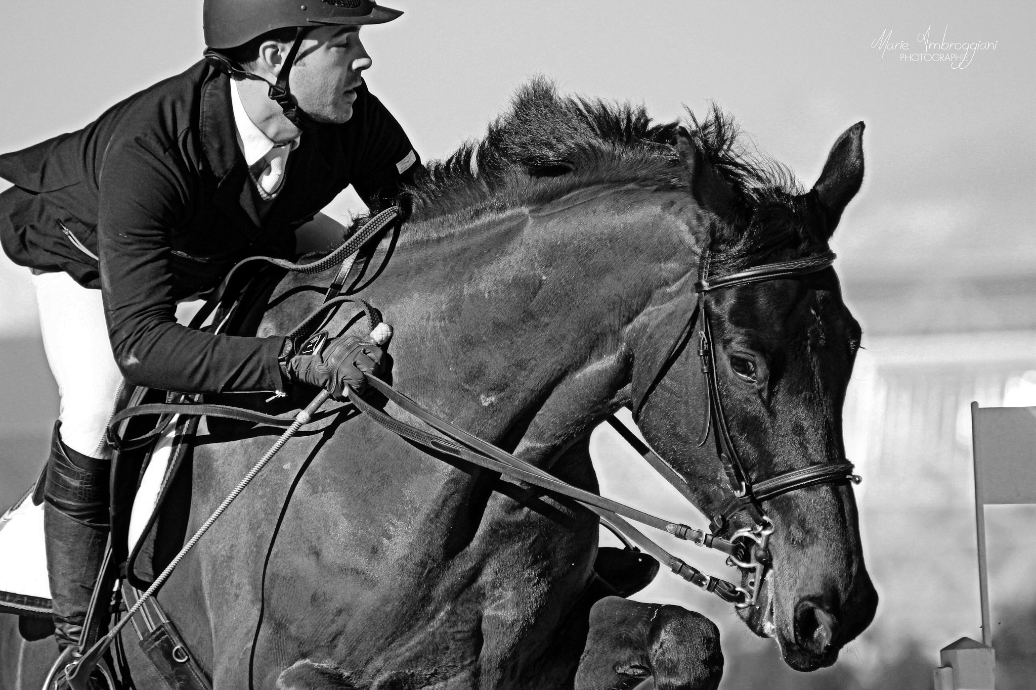 Canon EF 100-300mm F4.5-5.6 USM sample photo. Horse portrait photography