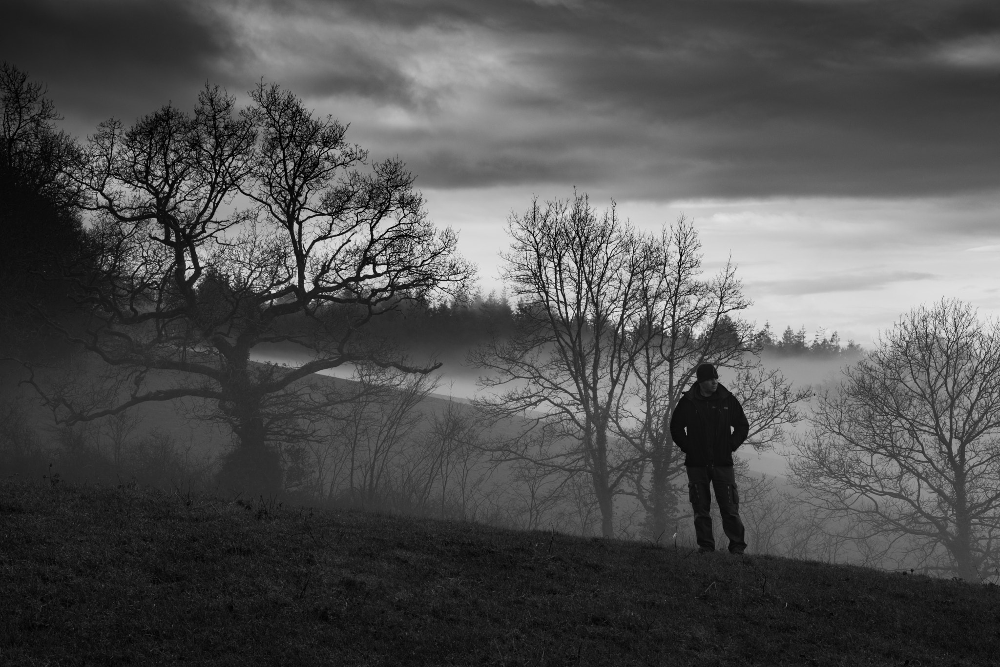 Nikon AF-S Nikkor 24-70mm F2.8E ED VR sample photo. Alone on a hillside photography