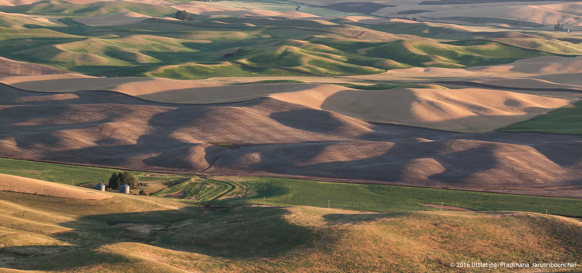 Canon EOS 500D (EOS Rebel T1i / EOS Kiss X3) + Canon EF 70-200mm F4L USM sample photo. A morning in palouse photography