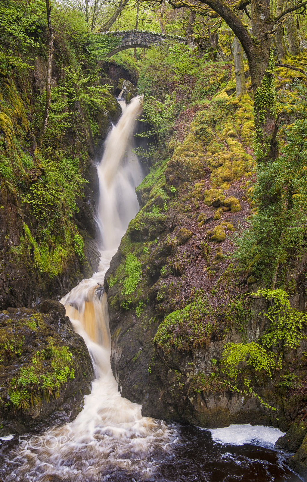 Sony Alpha DSLR-A900 + Sigma 28-105mm F2.8-4 Aspherical sample photo. Aira force photography