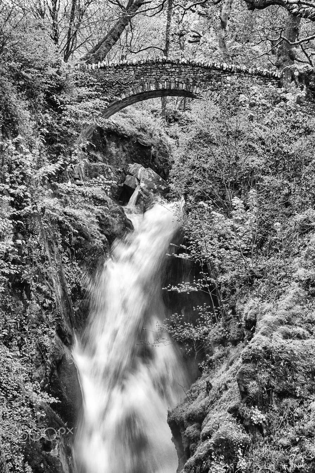 Sony Alpha DSLR-A900 + Sigma 28-105mm F2.8-4 Aspherical sample photo. Aira force photography