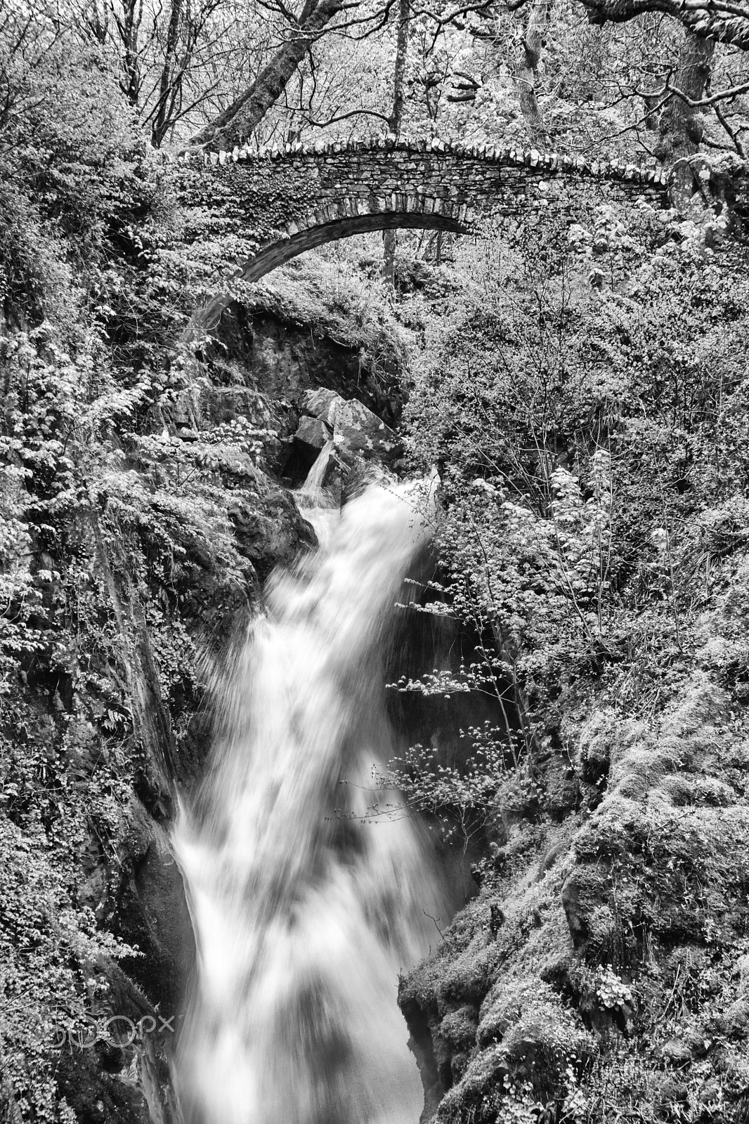 Sony Alpha DSLR-A900 sample photo. Aira force photography