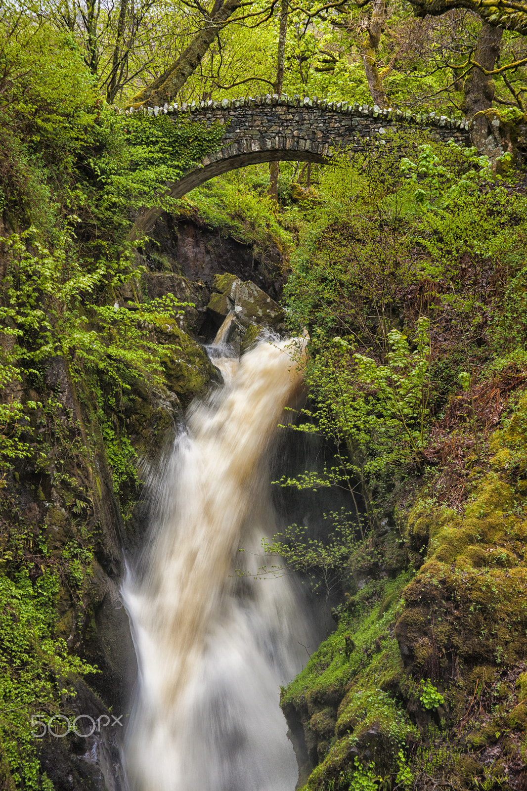 Sony Alpha DSLR-A900 + Sigma 28-105mm F2.8-4 Aspherical sample photo. Aira force photography