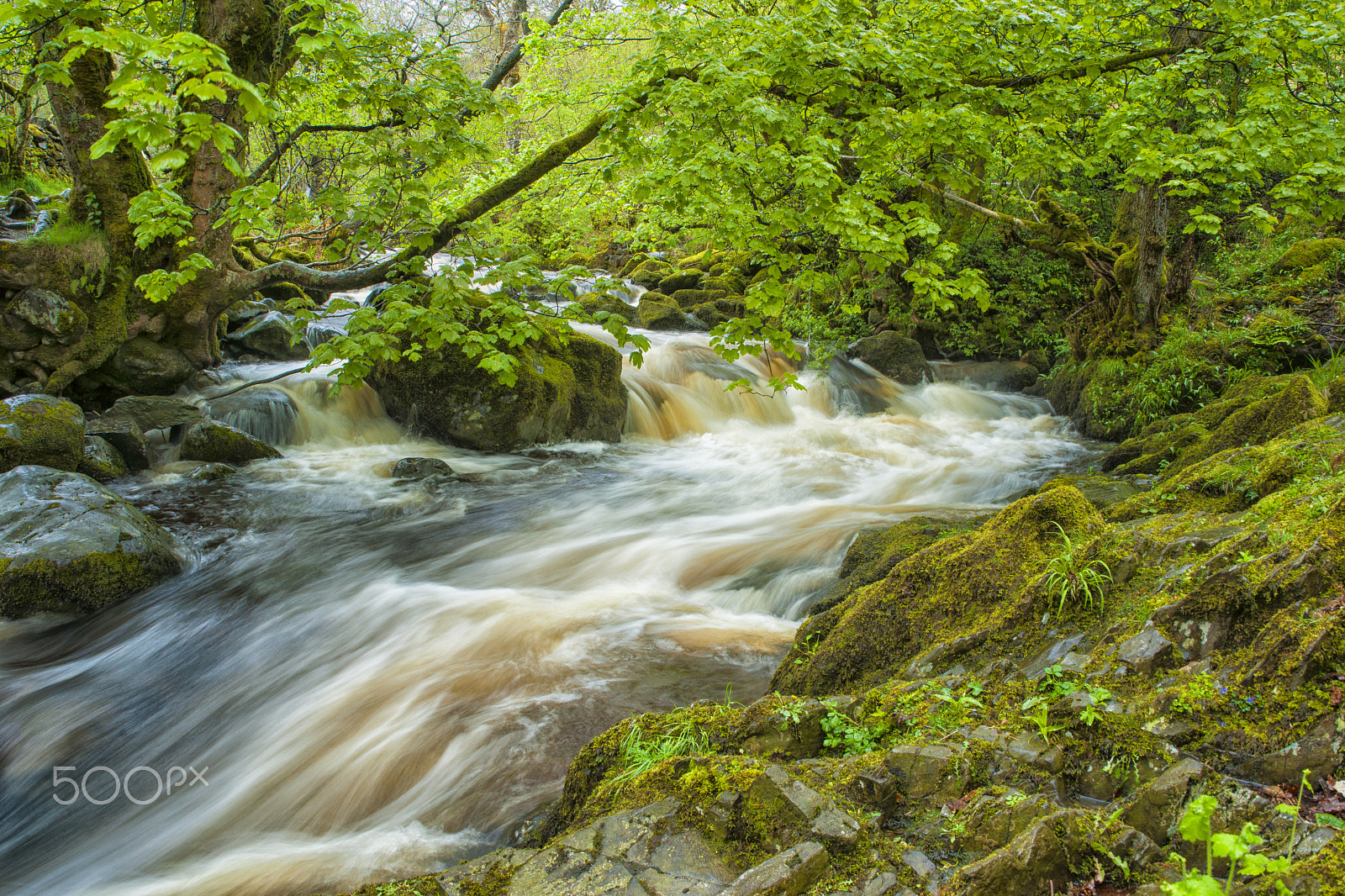 Sony Alpha DSLR-A900 sample photo. Aira force photography
