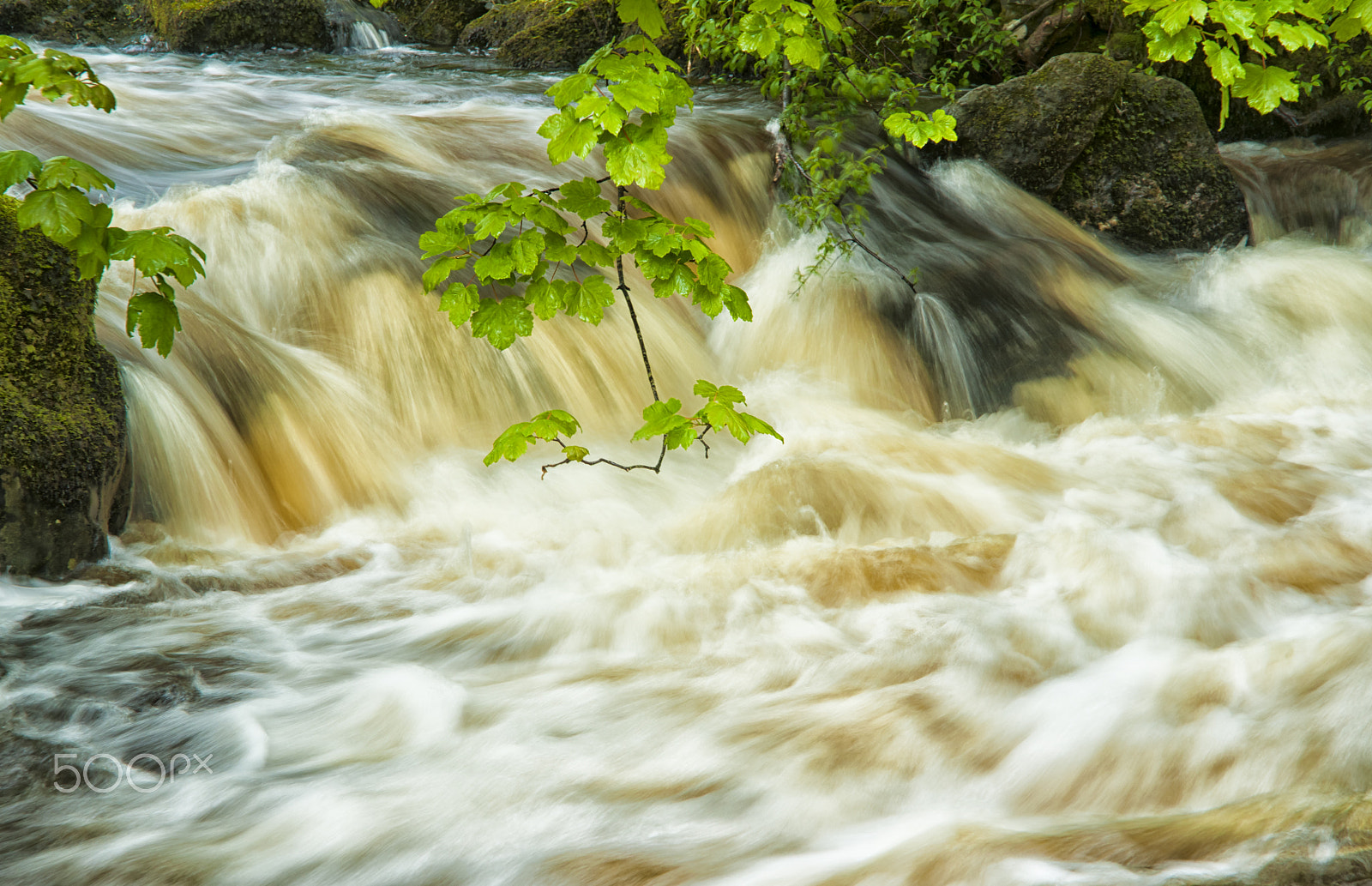 Sony Alpha DSLR-A900 sample photo. Aira force photography