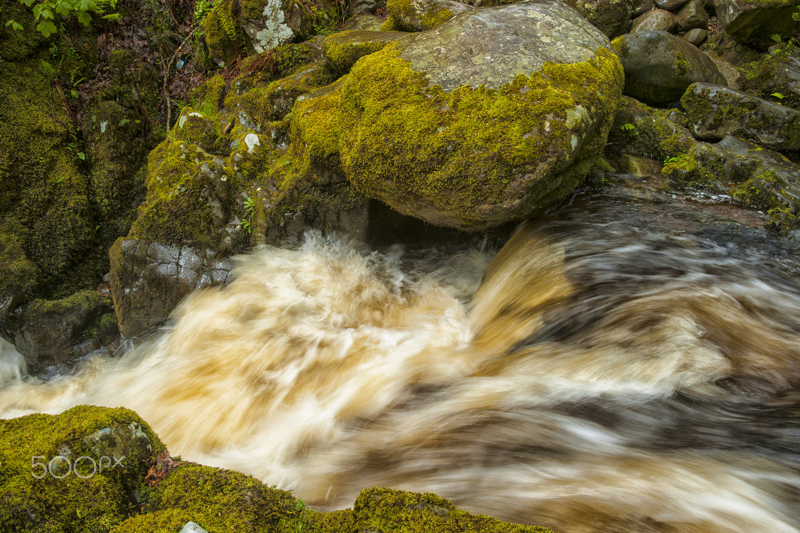 Sony Alpha DSLR-A900 sample photo. Aira force photography