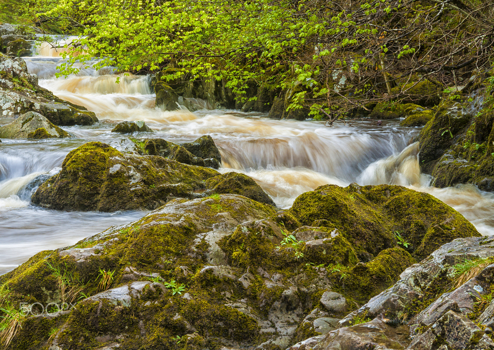 Sony Alpha DSLR-A900 sample photo. Aira force photography