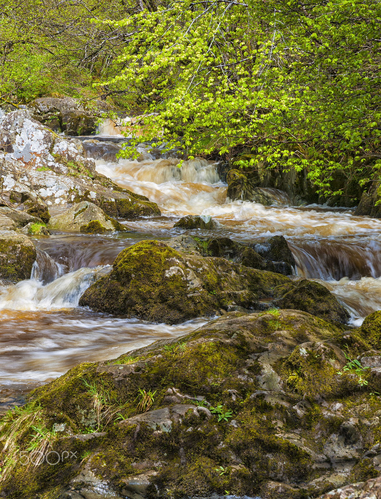 Sony Alpha DSLR-A900 sample photo. Aira force photography