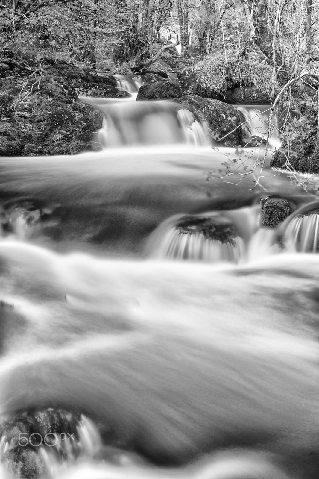 Sony Alpha DSLR-A900 sample photo. Aira force photography