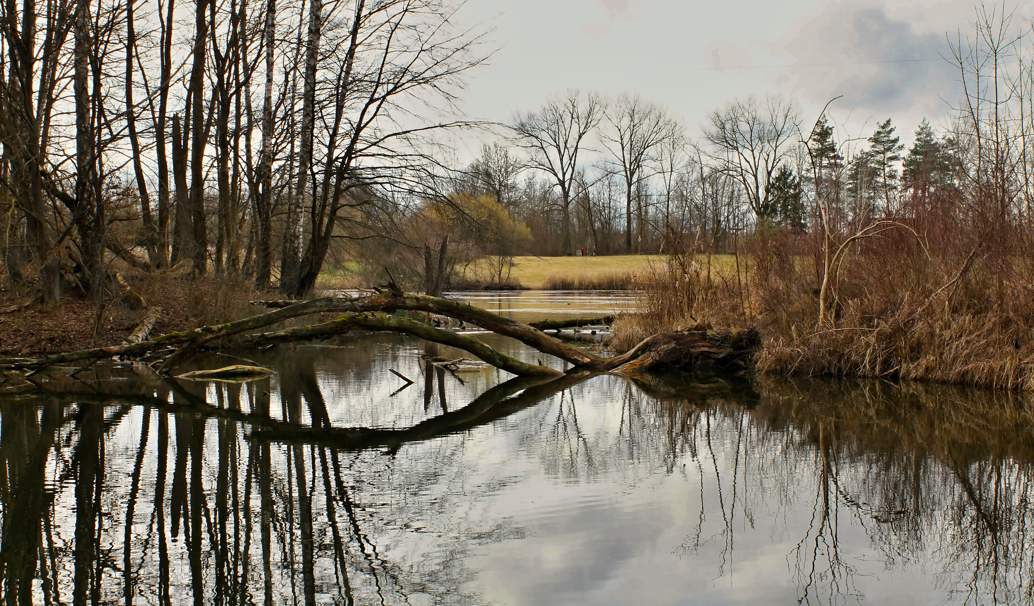 Canon EF 35mm F2 IS USM sample photo. Europaweiher photography