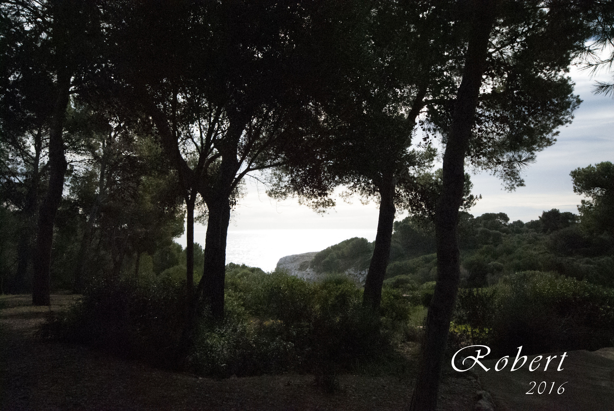 Sigma 10-20mm F4-5.6 EX DC HSM sample photo. Cuevas del drach - mar photography