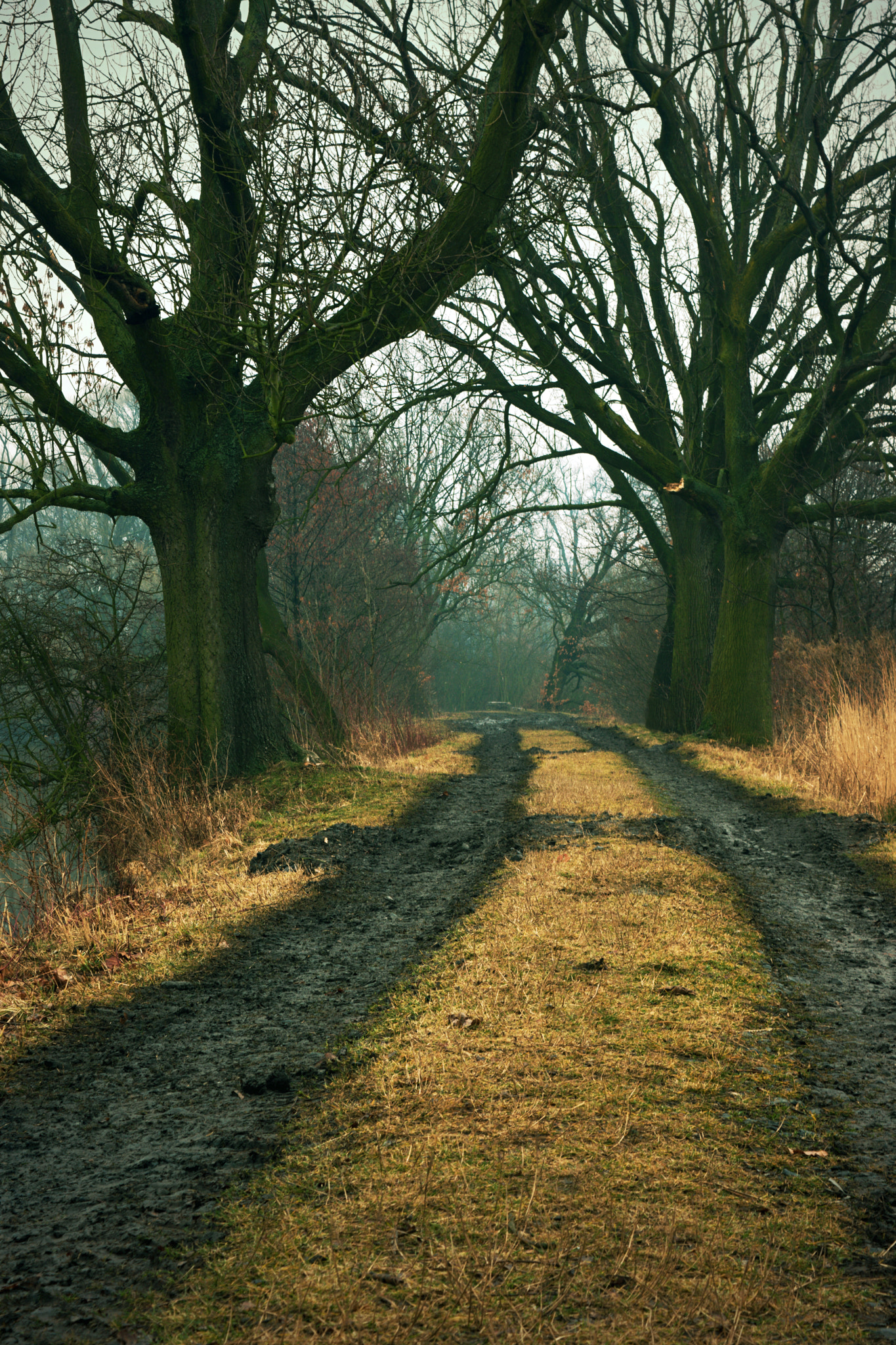 18.00 - 55.00 mm f/3.5 - 5.6 sample photo. Mysterious route photography