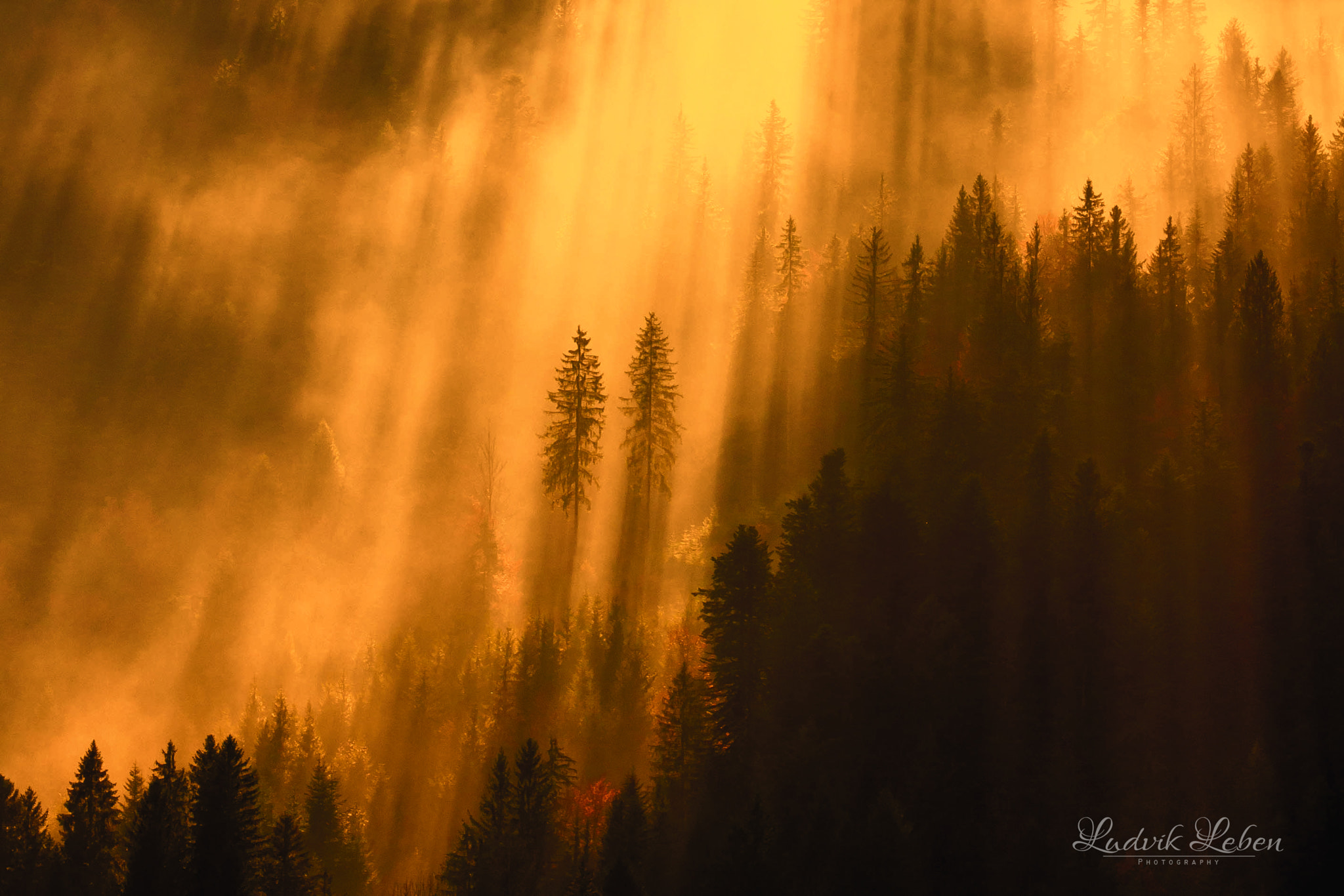 Sony 70-300mm F4.5-5.6 G SSM sample photo. Force of light photography
