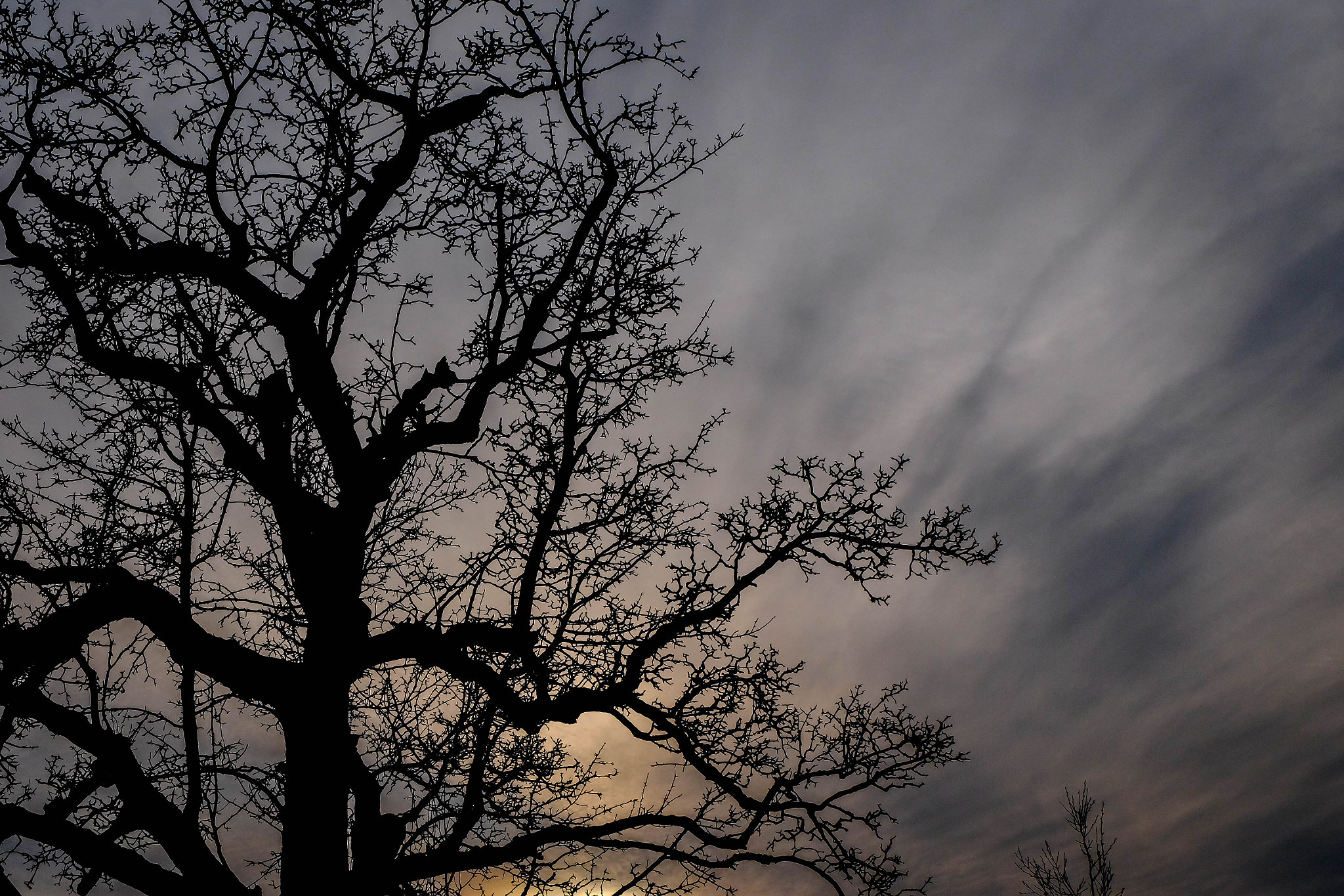 Fujifilm X-M1 + Fujifilm XC 16-50mm F3.5-5.6 OIS II sample photo. Brandpunt photography